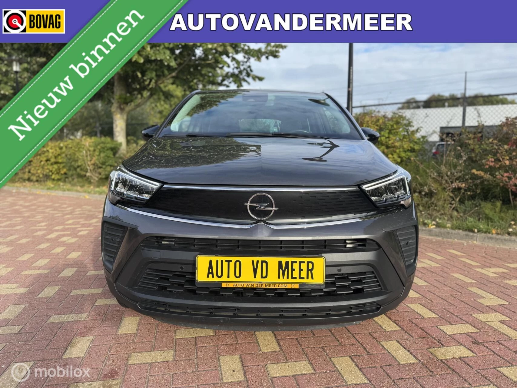 Hoofdafbeelding Opel Crossland