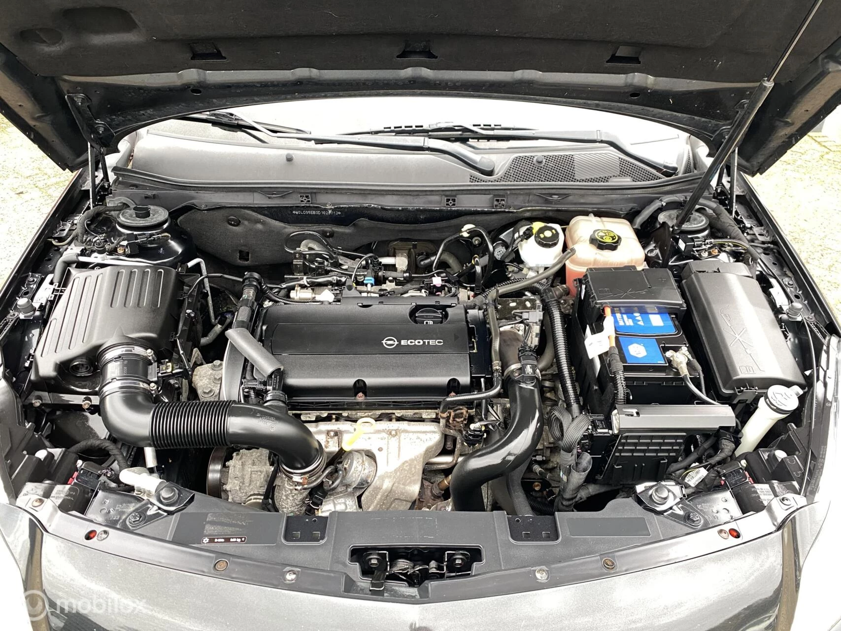 Hoofdafbeelding Opel Insignia