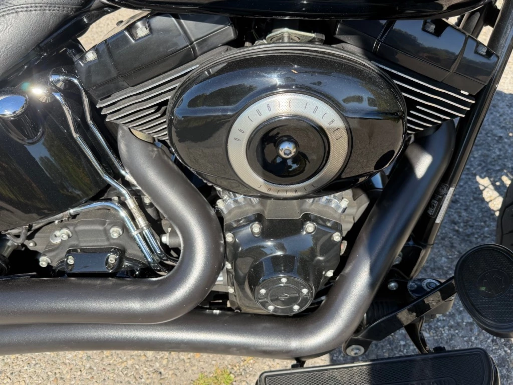Hoofdafbeelding Harley-Davidson Softail