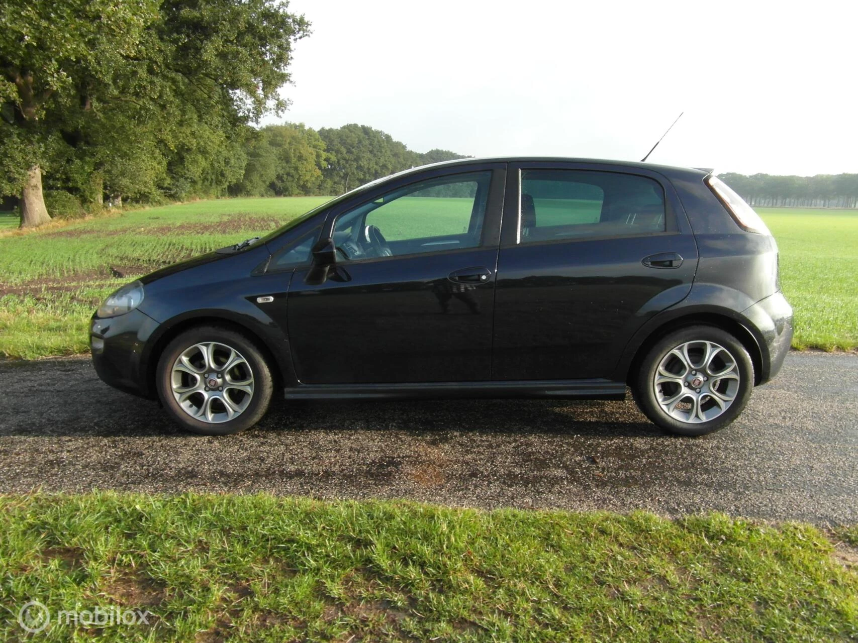 Hoofdafbeelding Fiat Punto