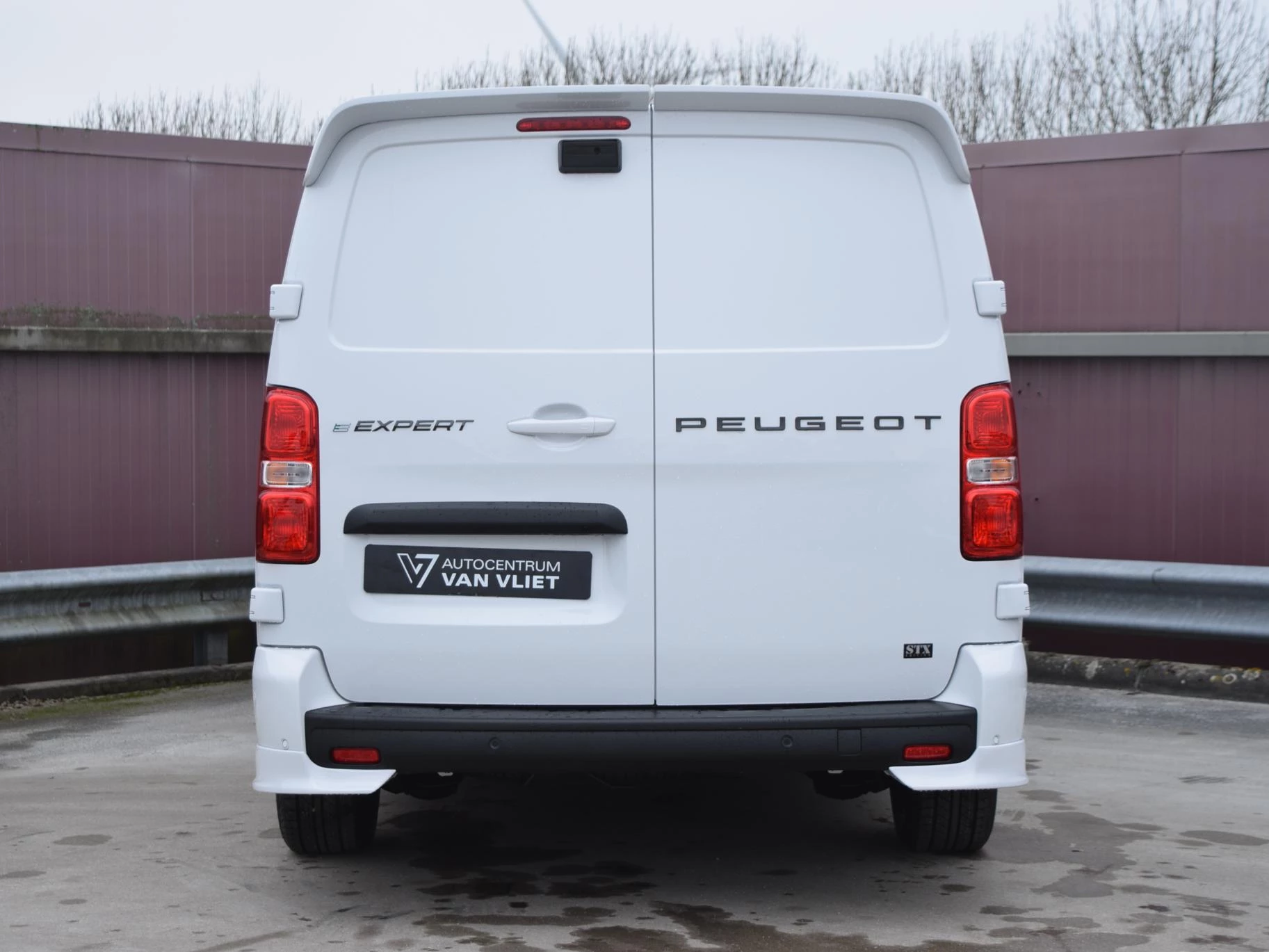 Hoofdafbeelding Peugeot e-Expert