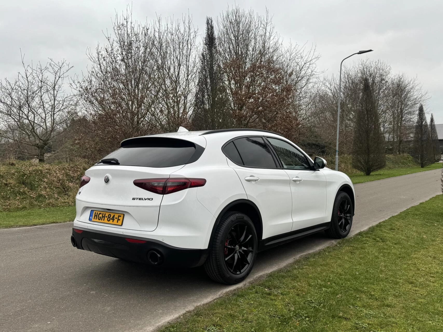 Hoofdafbeelding Alfa Romeo Stelvio
