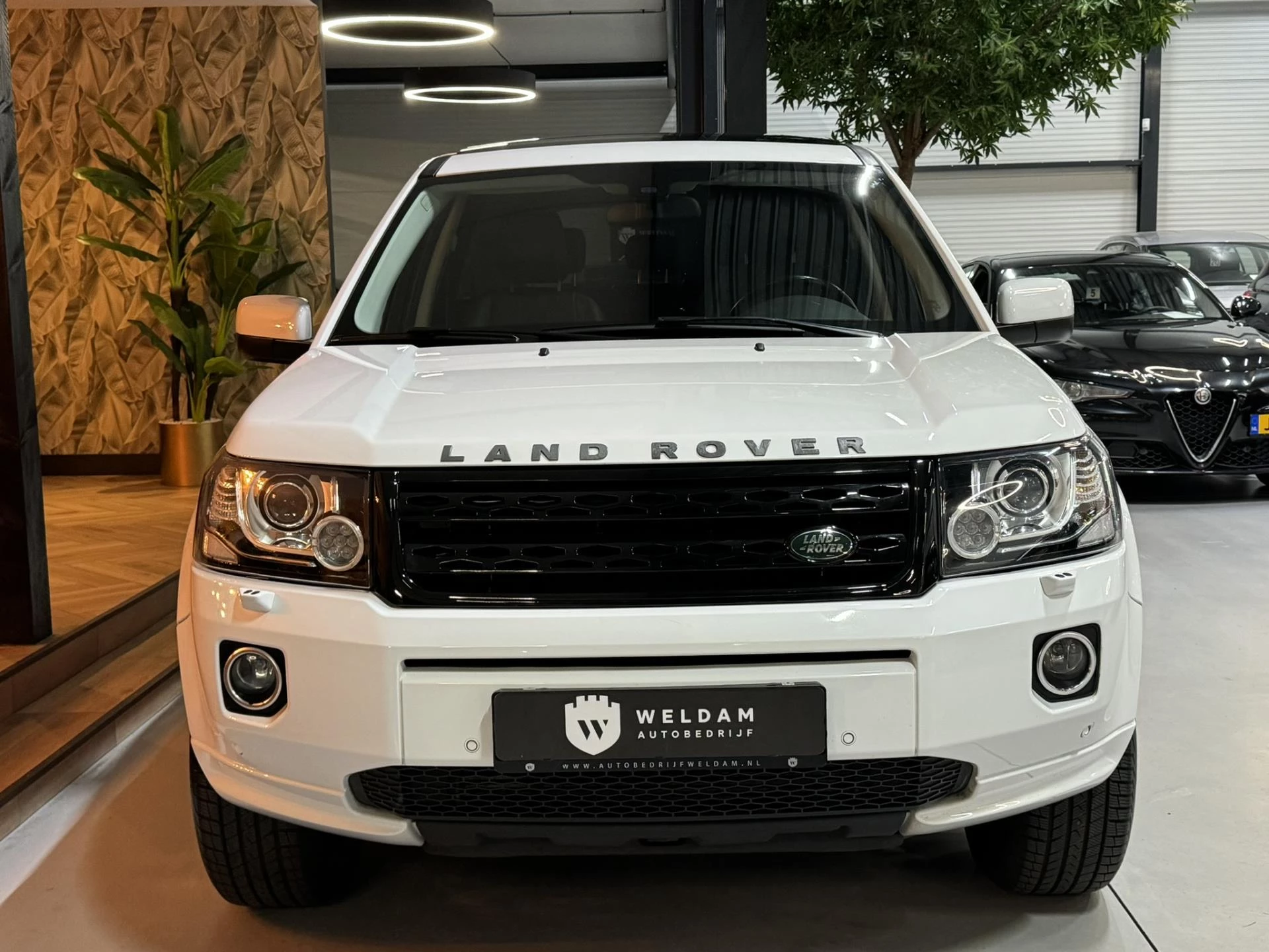 Hoofdafbeelding Land Rover Freelander