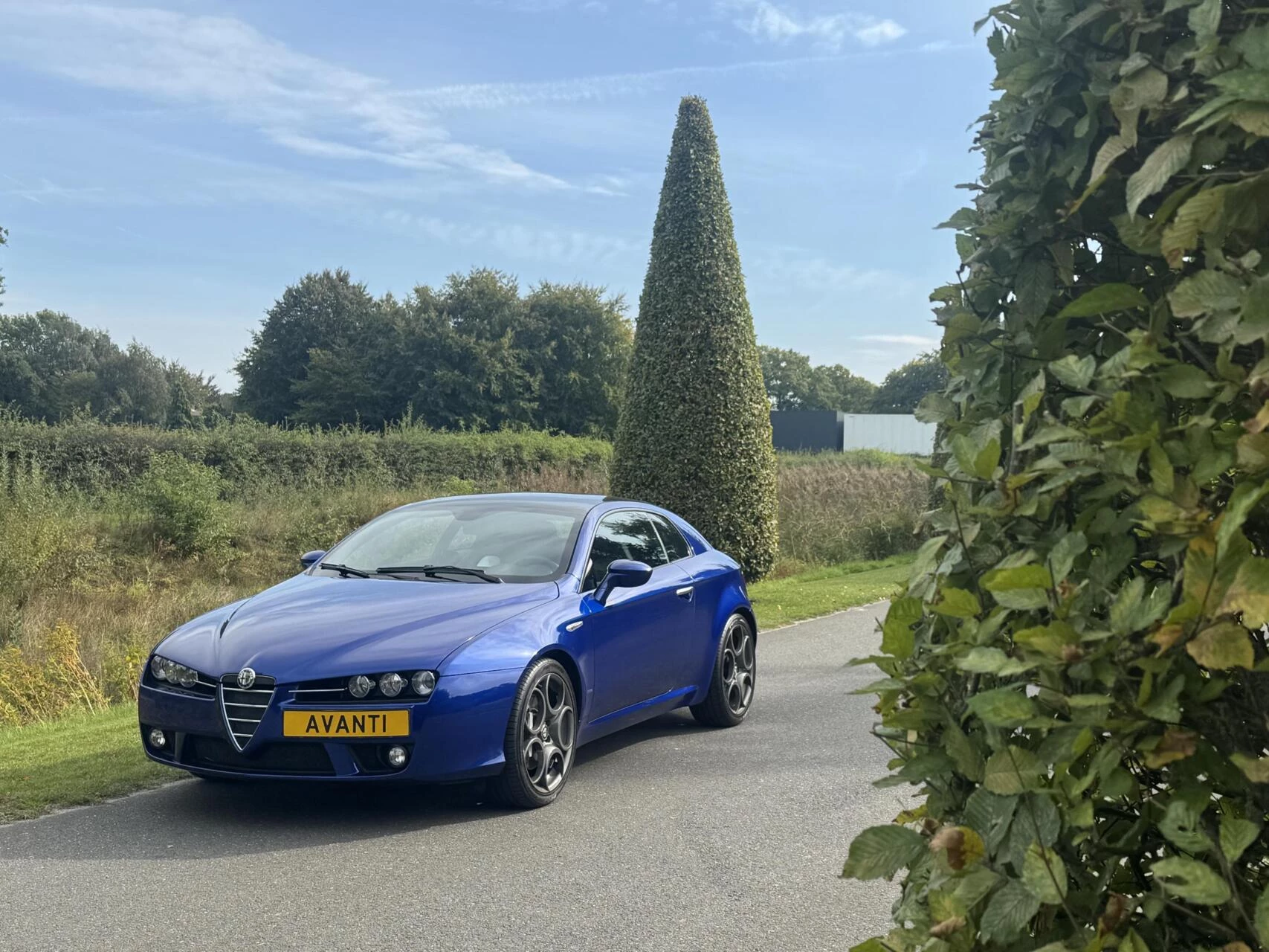 Hoofdafbeelding Alfa Romeo Brera