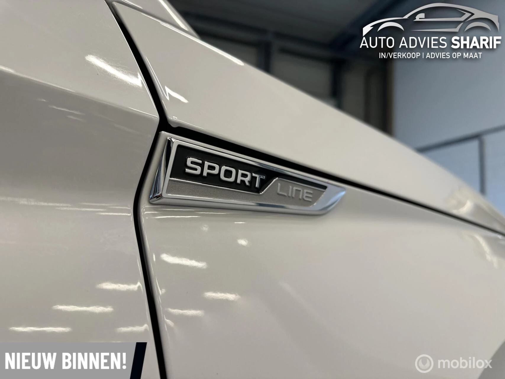 Hoofdafbeelding Škoda Kodiaq