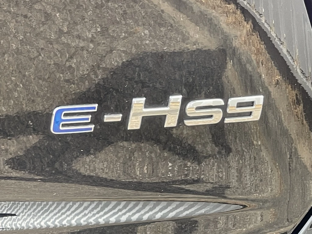 Hoofdafbeelding Faw E-HS9