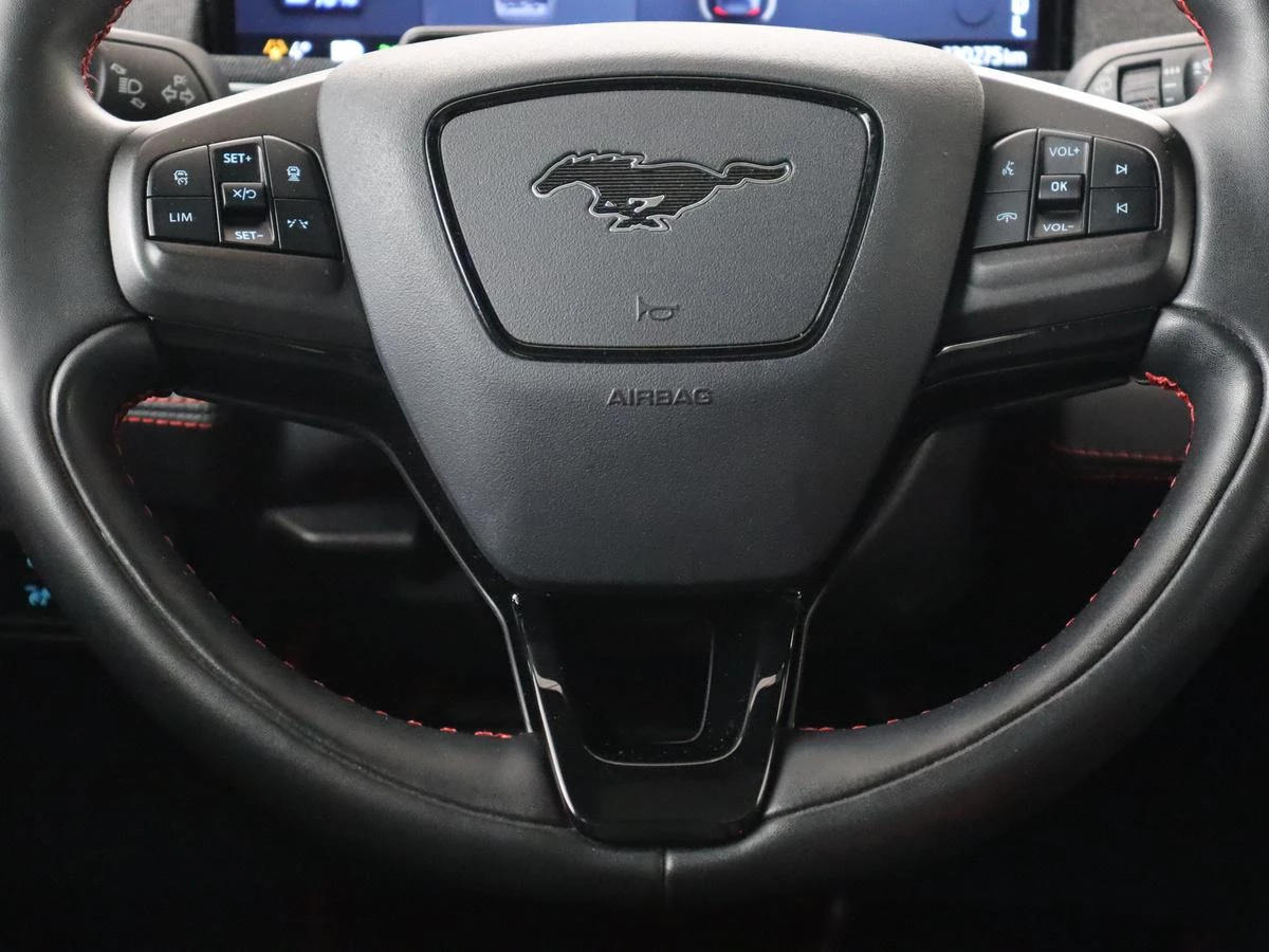 Hoofdafbeelding Ford Mustang Mach-E