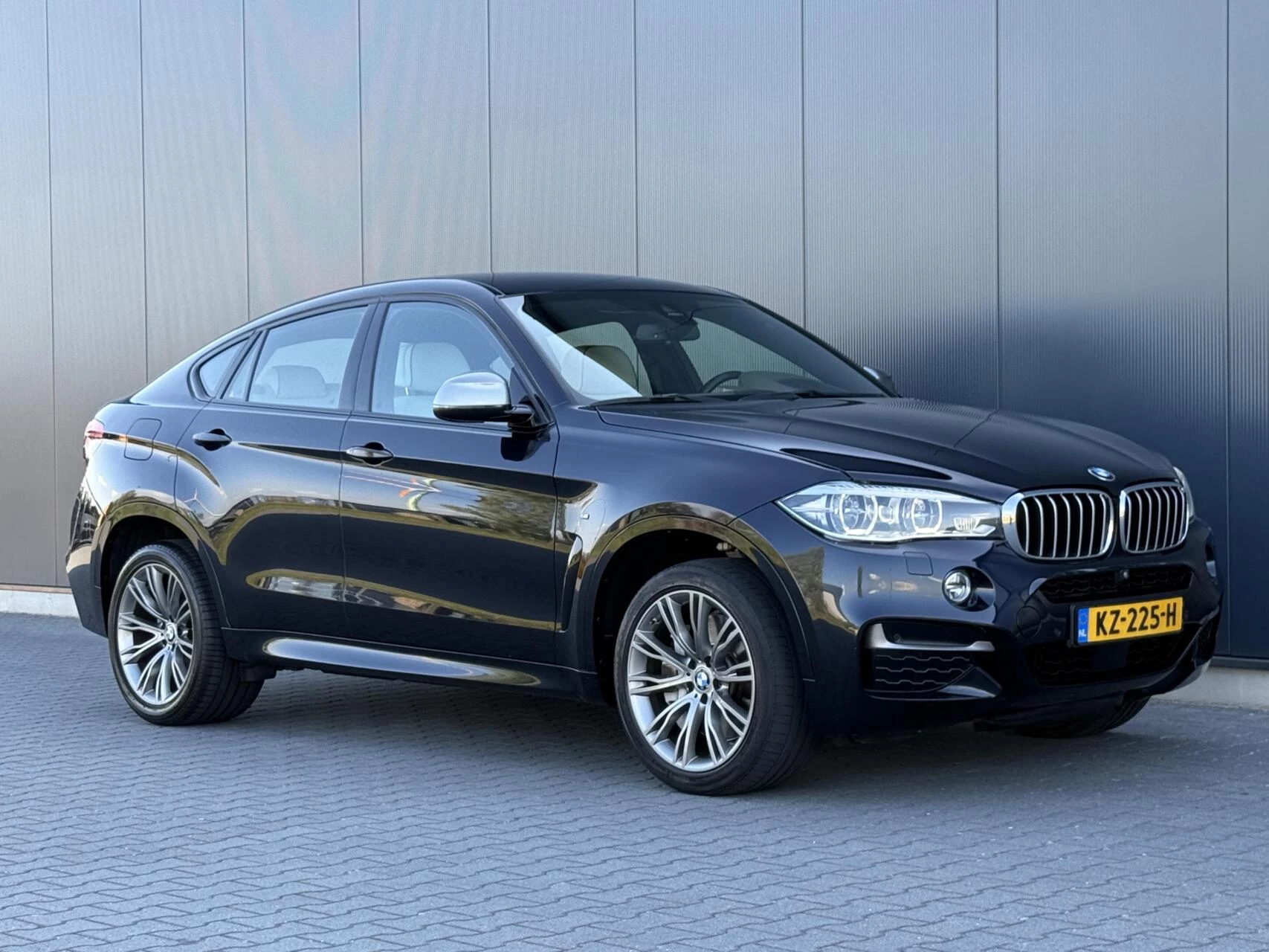 Hoofdafbeelding BMW X6