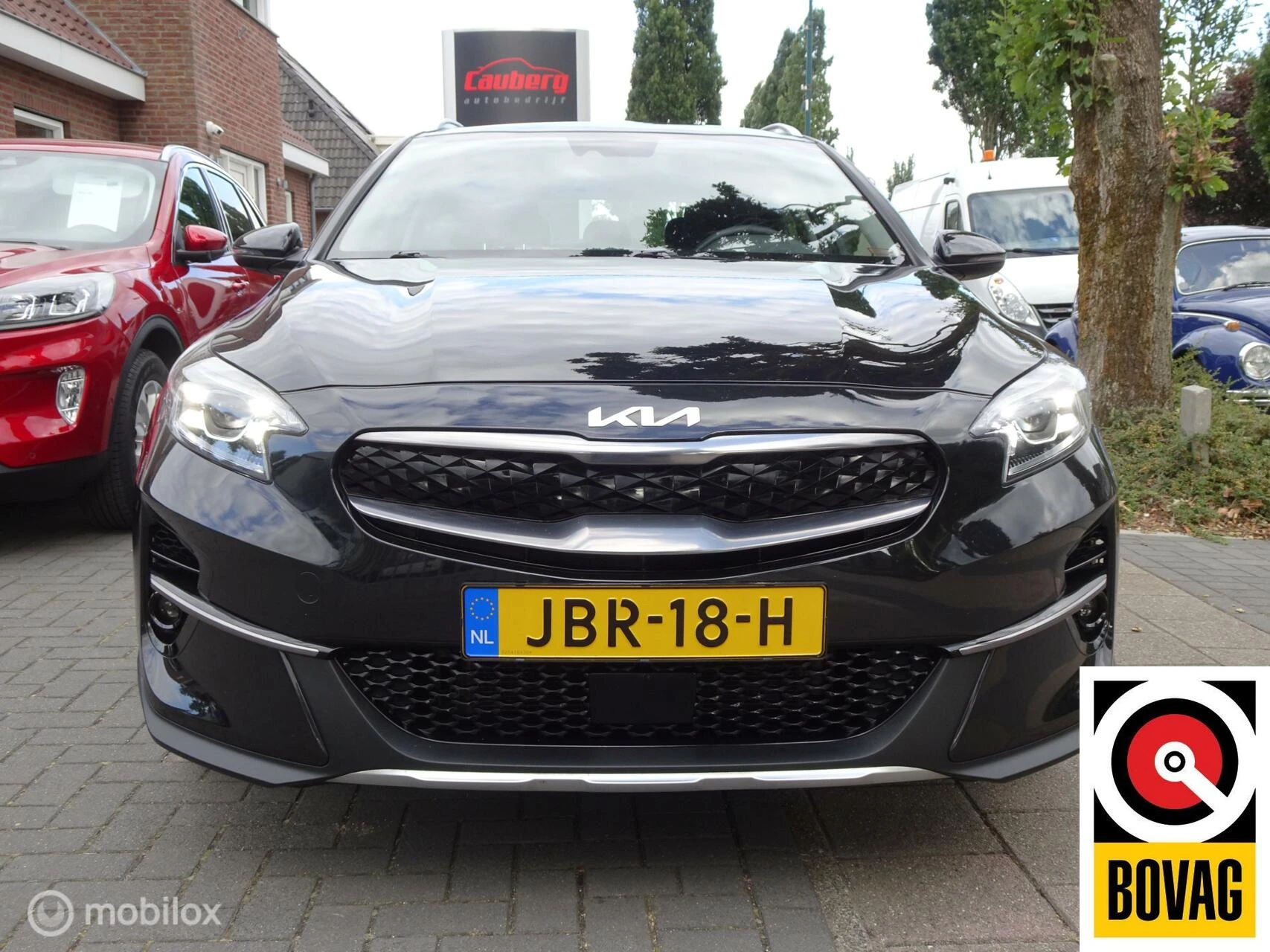 Hoofdafbeelding Kia XCeed