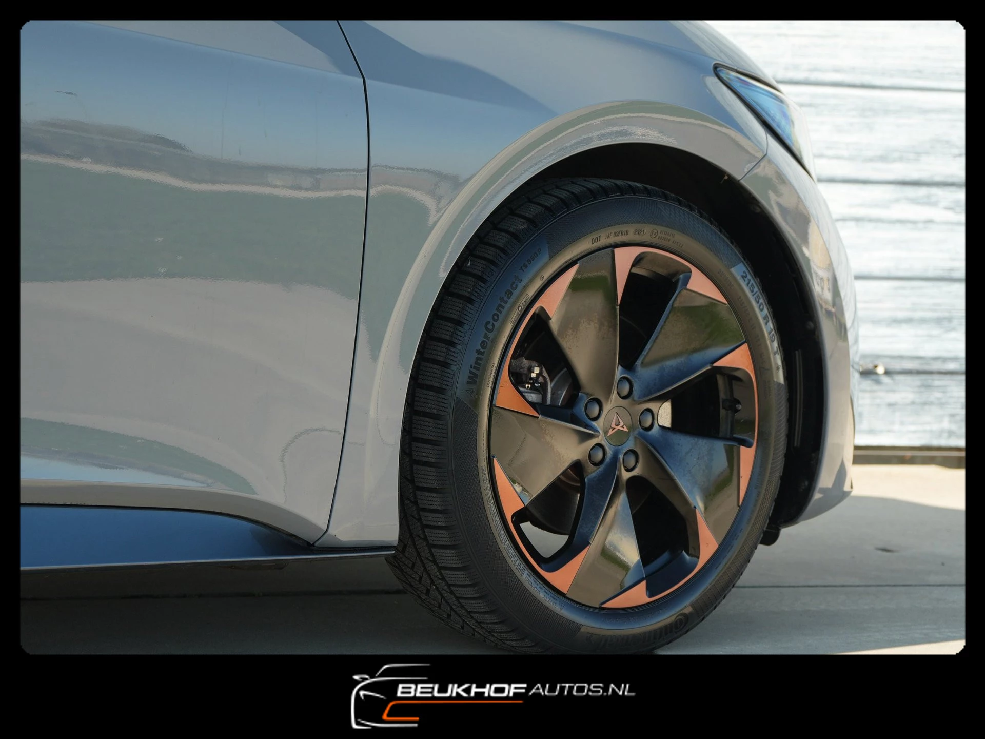 Hoofdafbeelding CUPRA Born