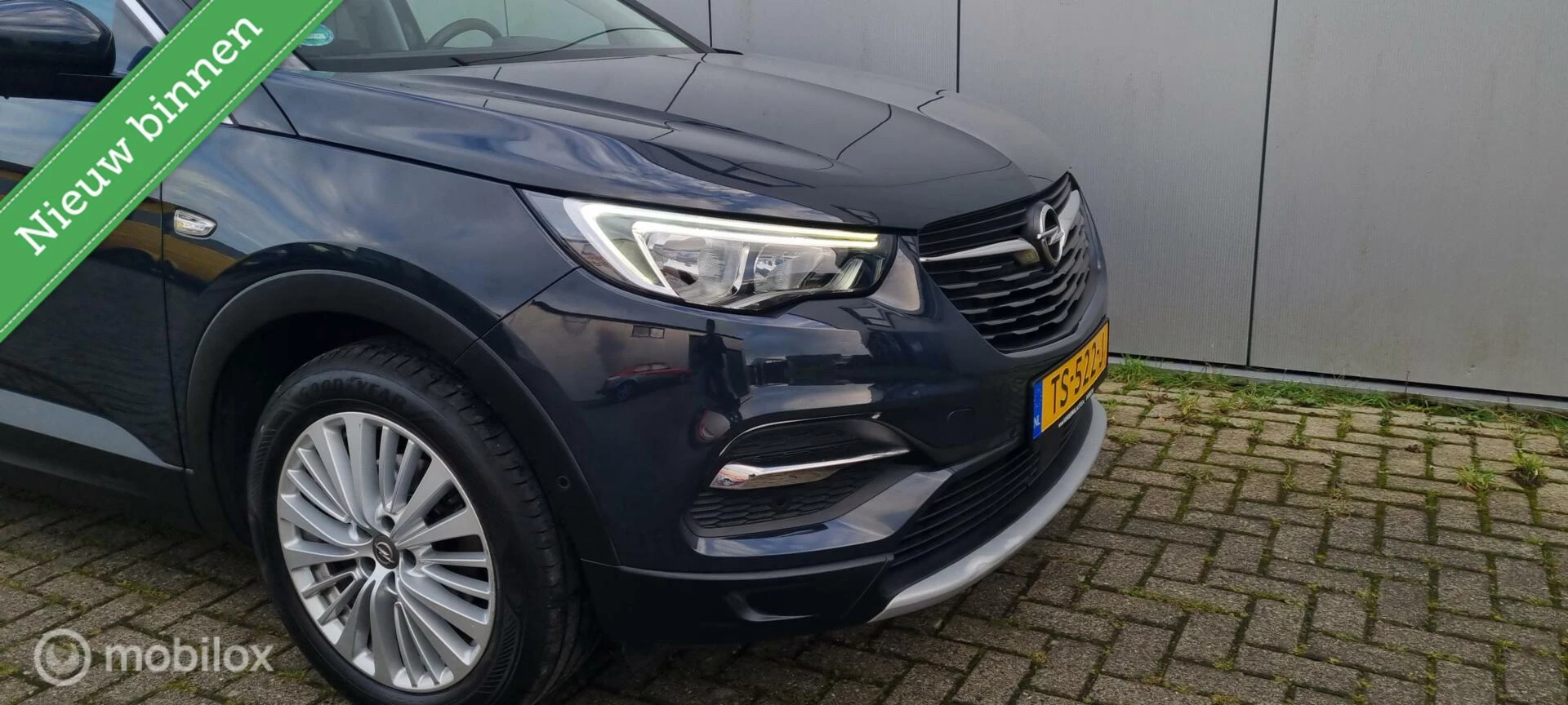 Hoofdafbeelding Opel Grandland X