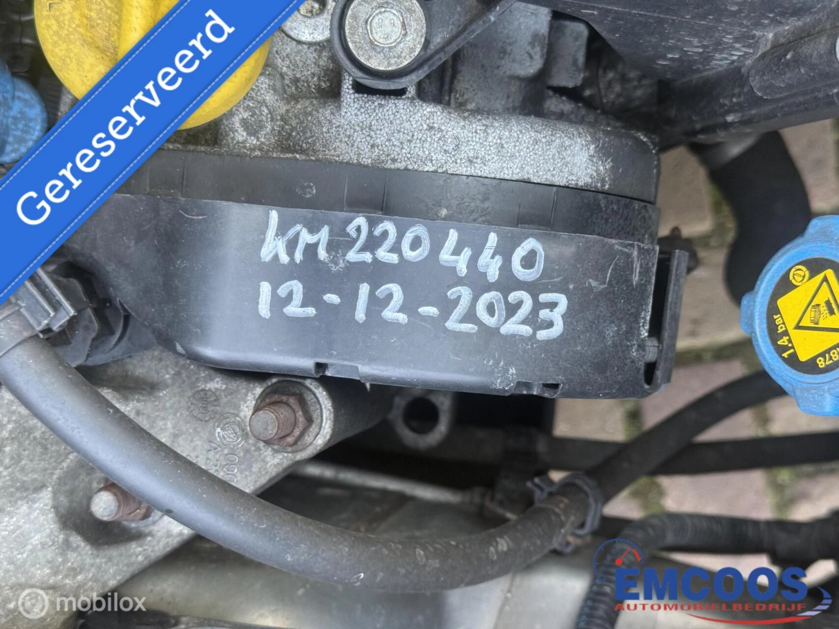 Hoofdafbeelding Lancia Musa