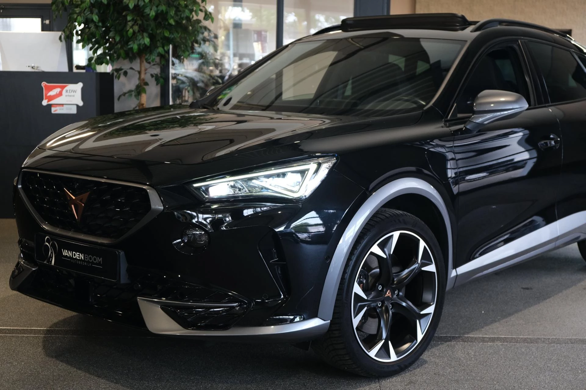 Hoofdafbeelding CUPRA Formentor