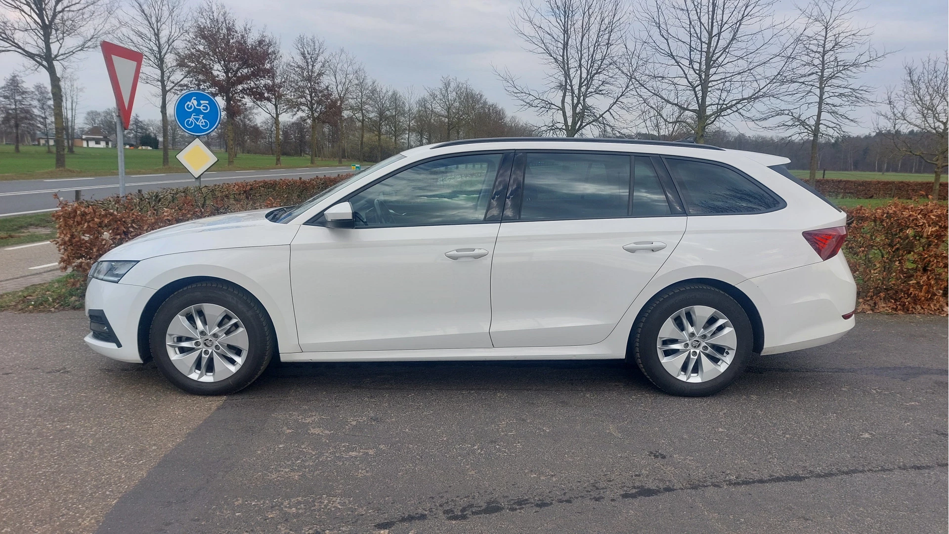 Hoofdafbeelding Škoda Octavia