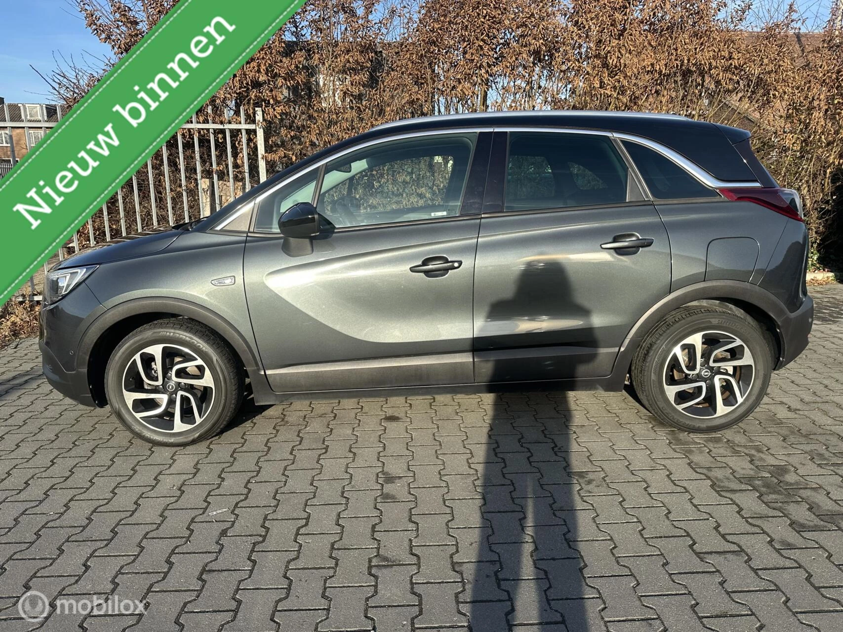 Hoofdafbeelding Opel Crossland X