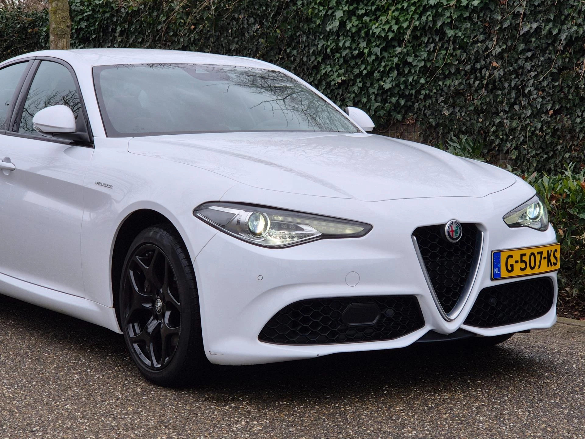 Hoofdafbeelding Alfa Romeo Giulia