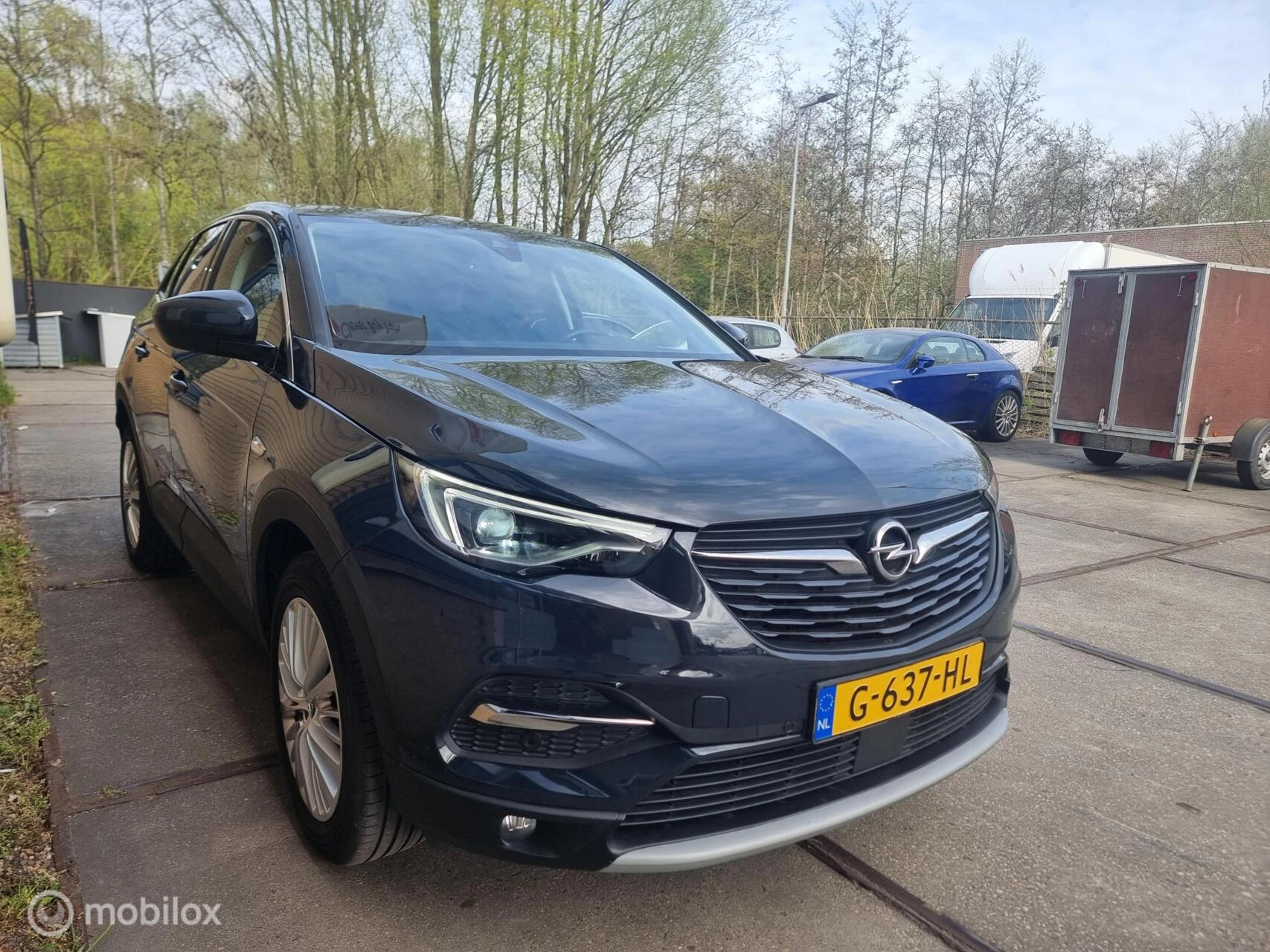 Hoofdafbeelding Opel Grandland X