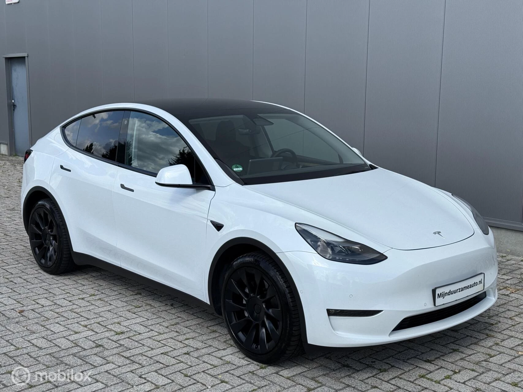 Hoofdafbeelding Tesla Model Y