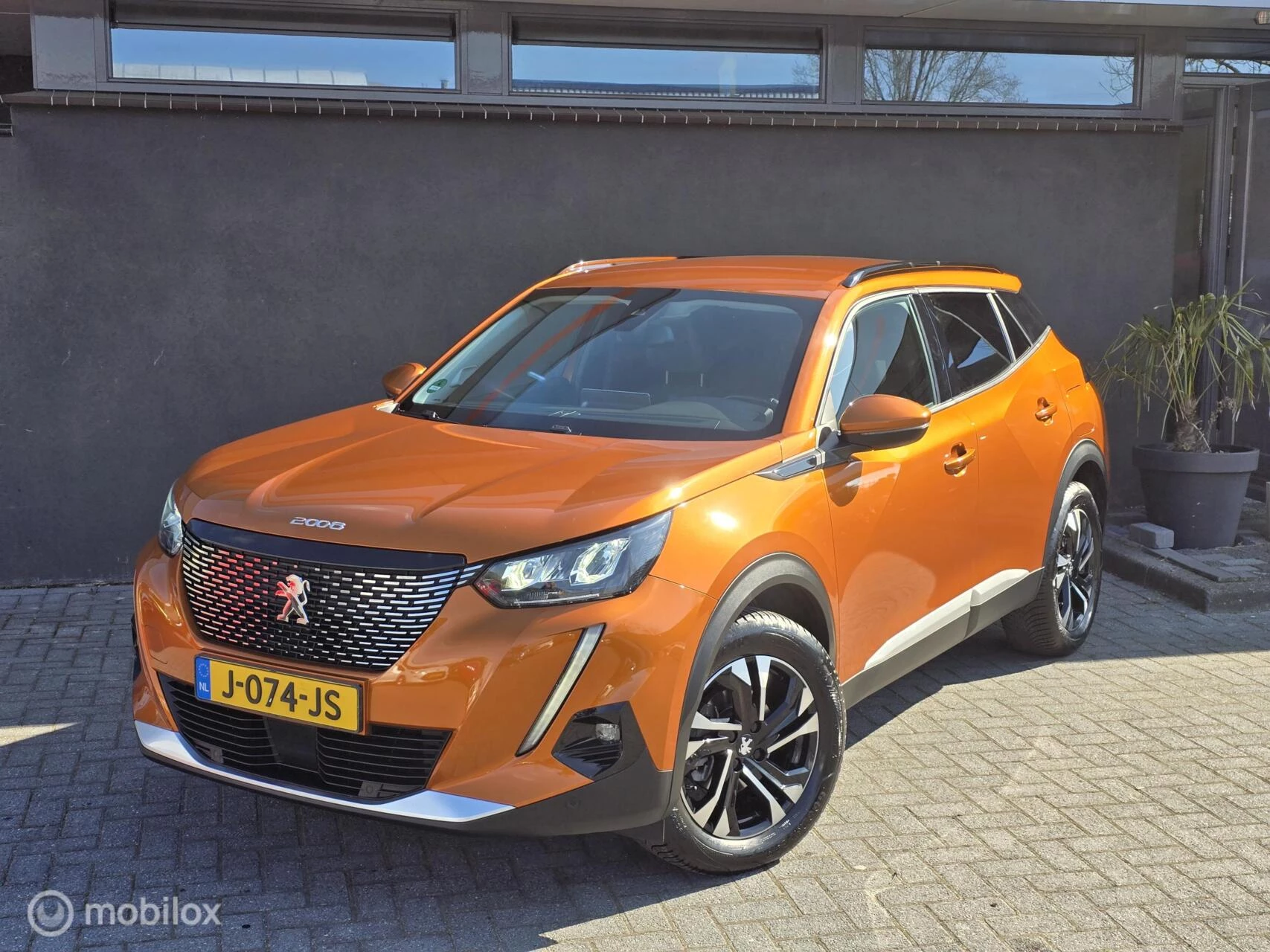 Hoofdafbeelding Peugeot 2008