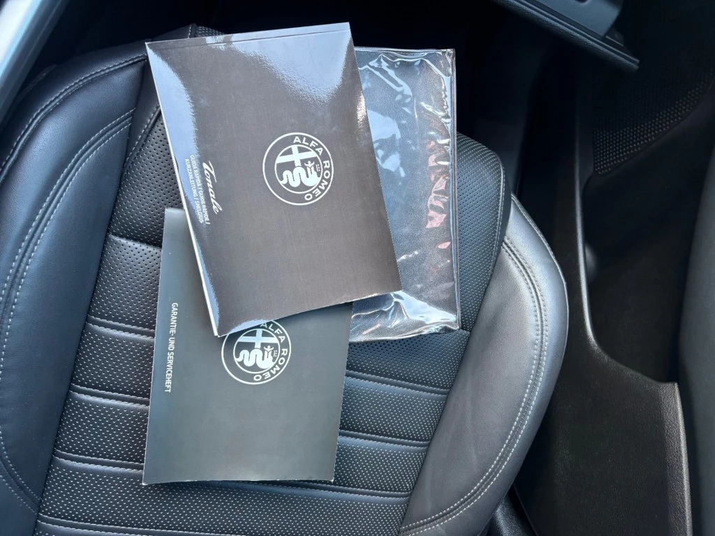 Hoofdafbeelding Alfa Romeo Tonale