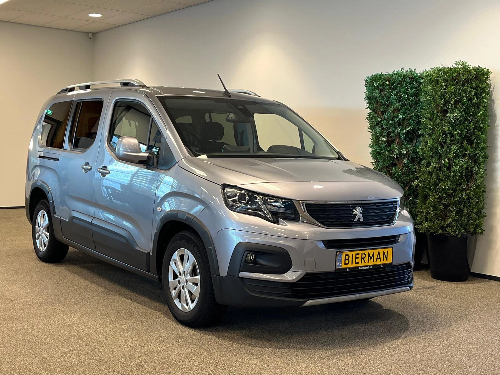 Hoofdafbeelding Peugeot Rifter