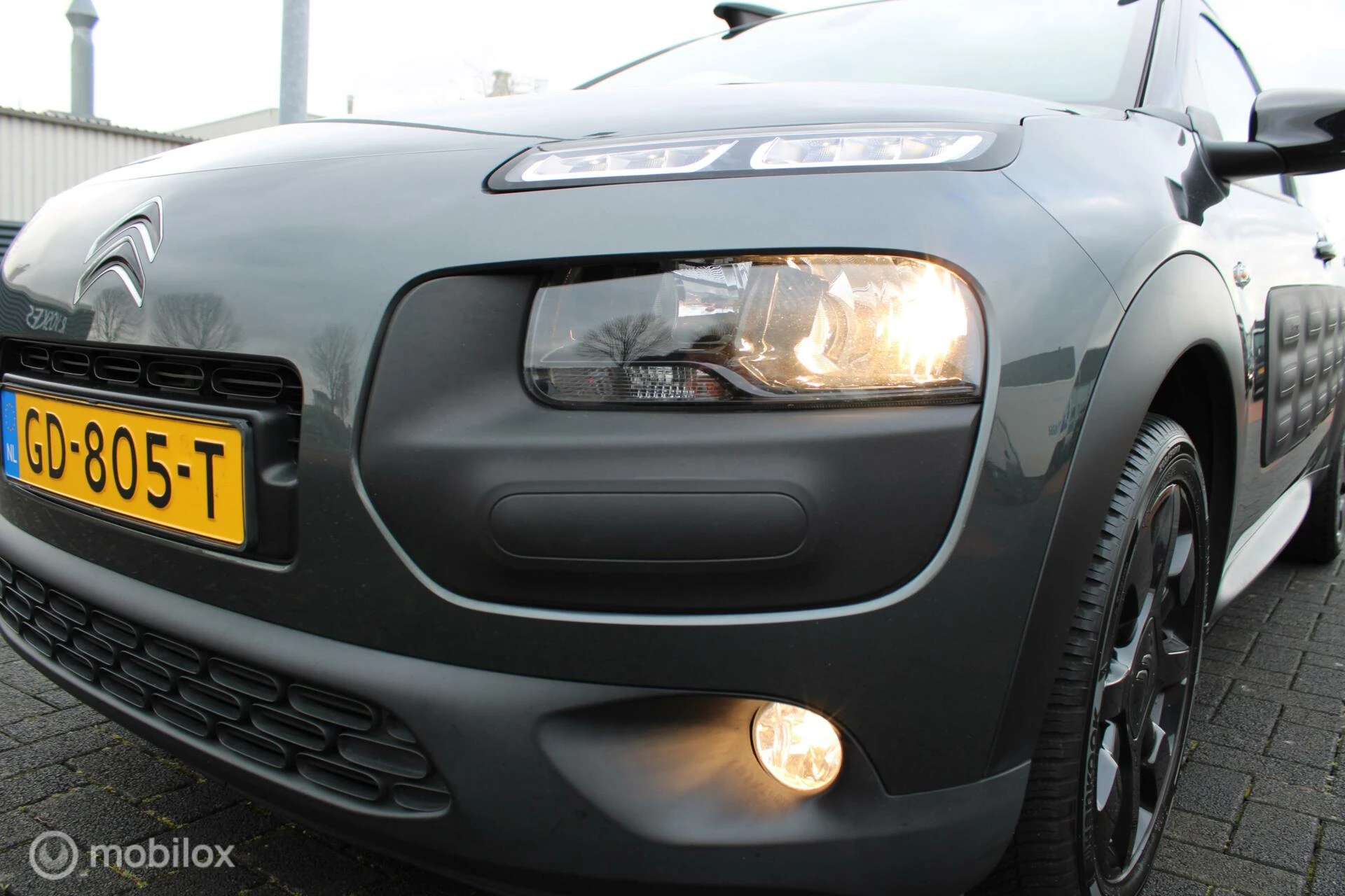 Hoofdafbeelding Citroën C4 Cactus