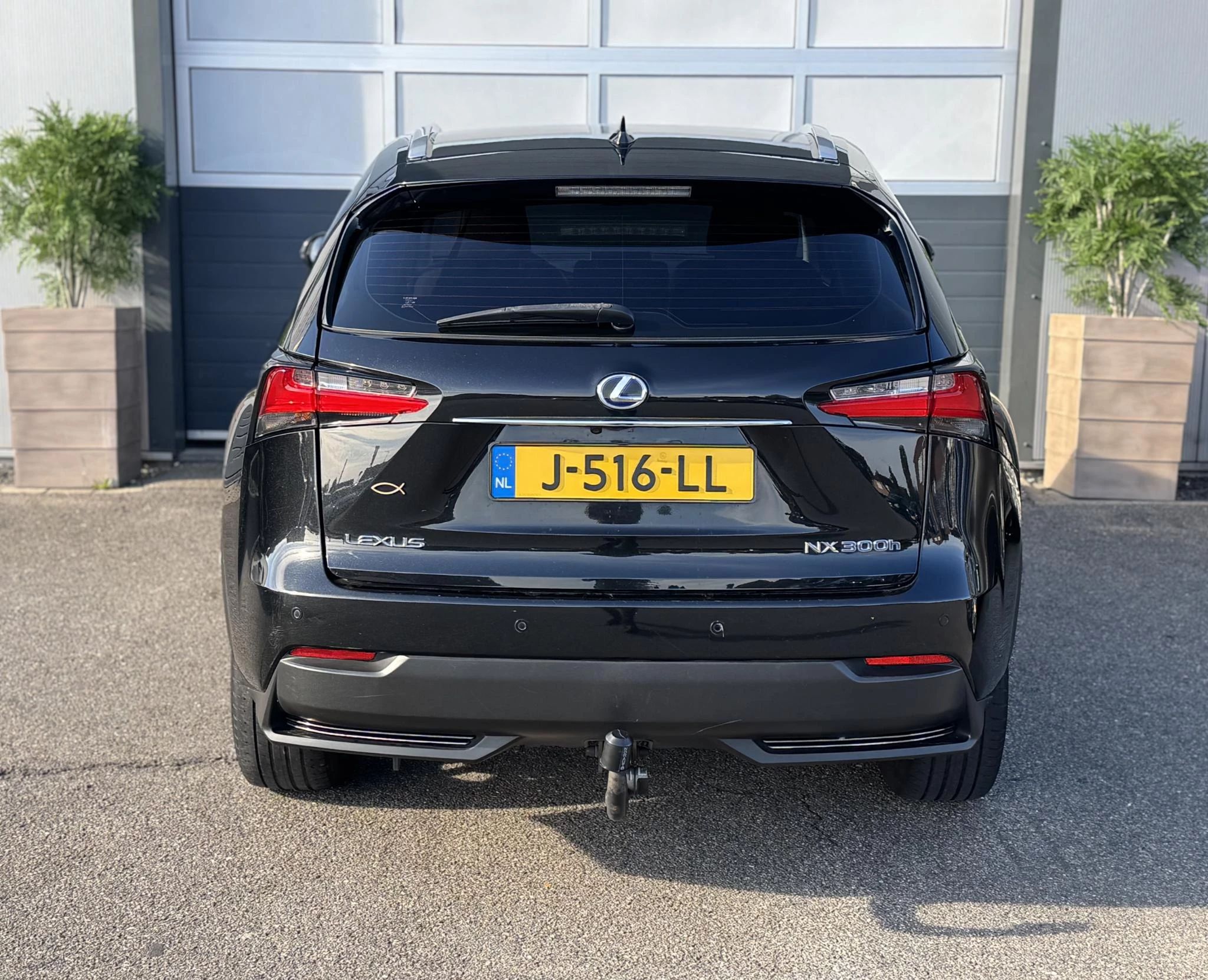 Hoofdafbeelding Lexus NX