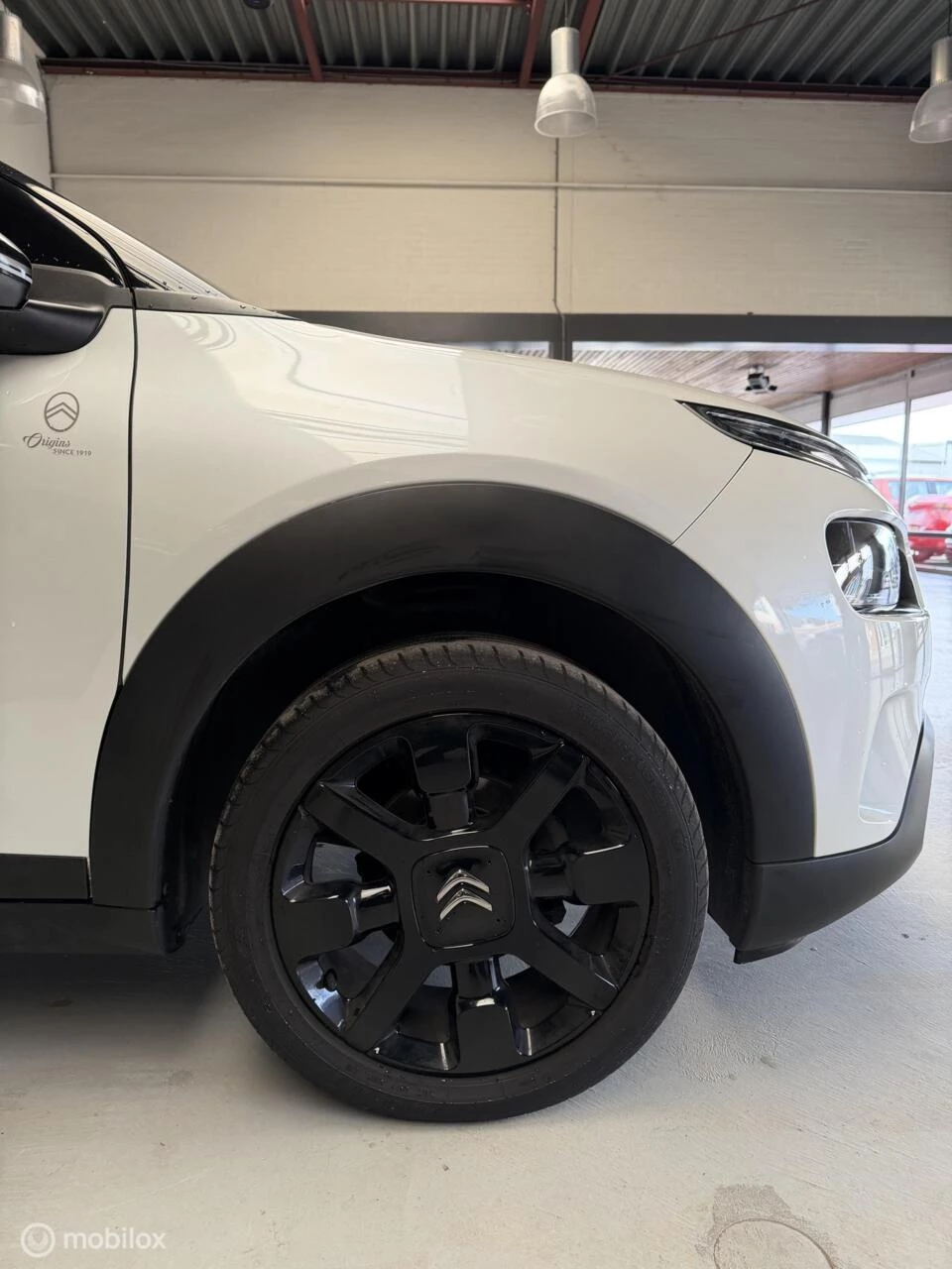Hoofdafbeelding Citroën C4 Cactus