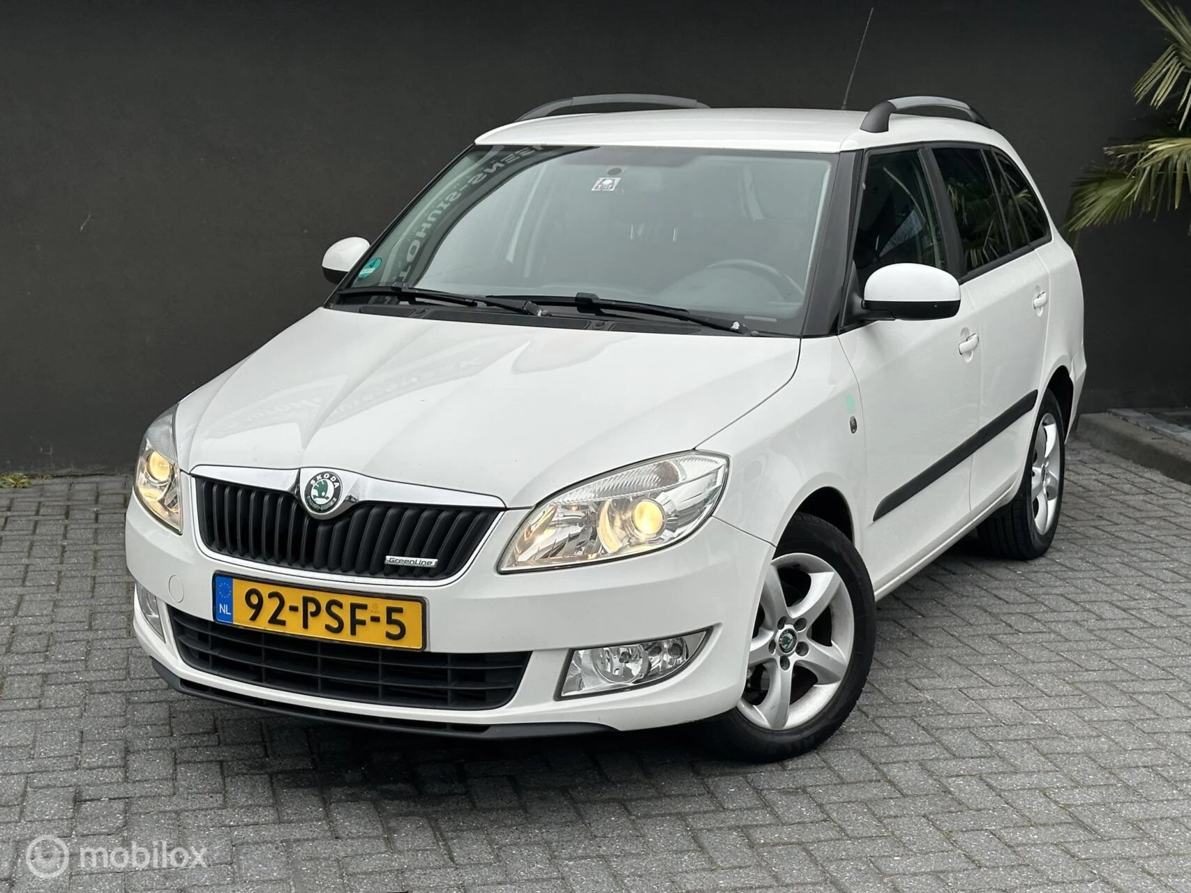 Hoofdafbeelding Škoda Fabia