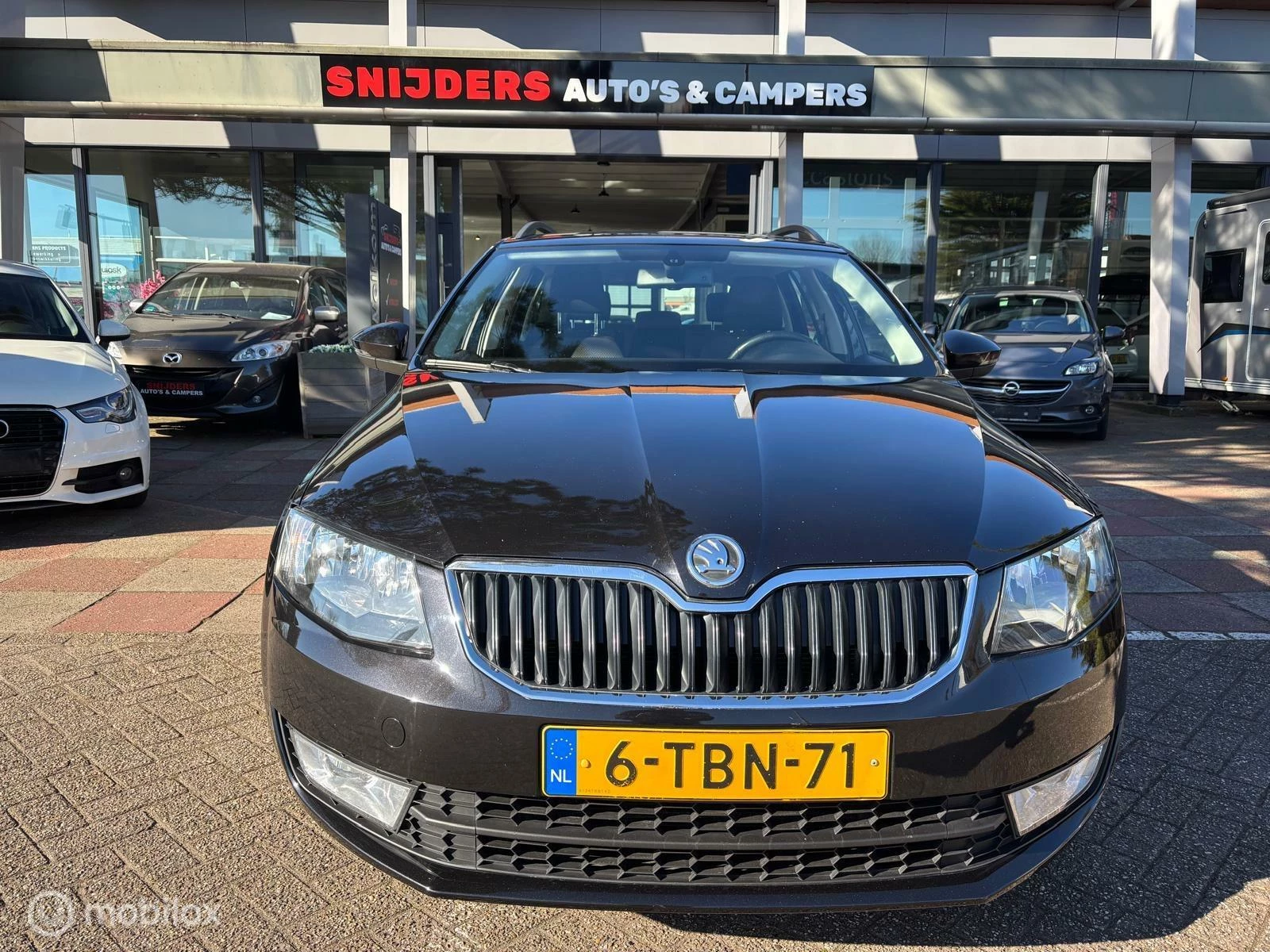 Hoofdafbeelding Škoda Octavia