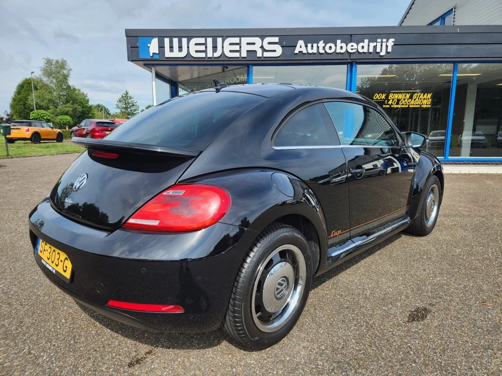 Hoofdafbeelding Volkswagen Beetle