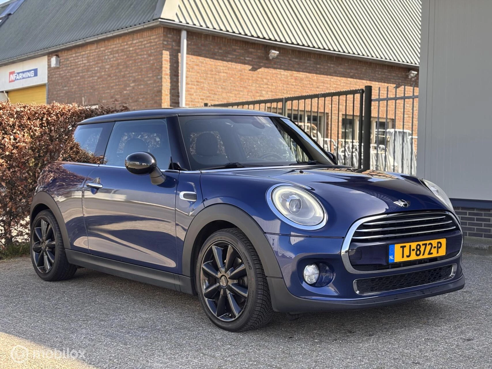 Hoofdafbeelding MINI Cooper
