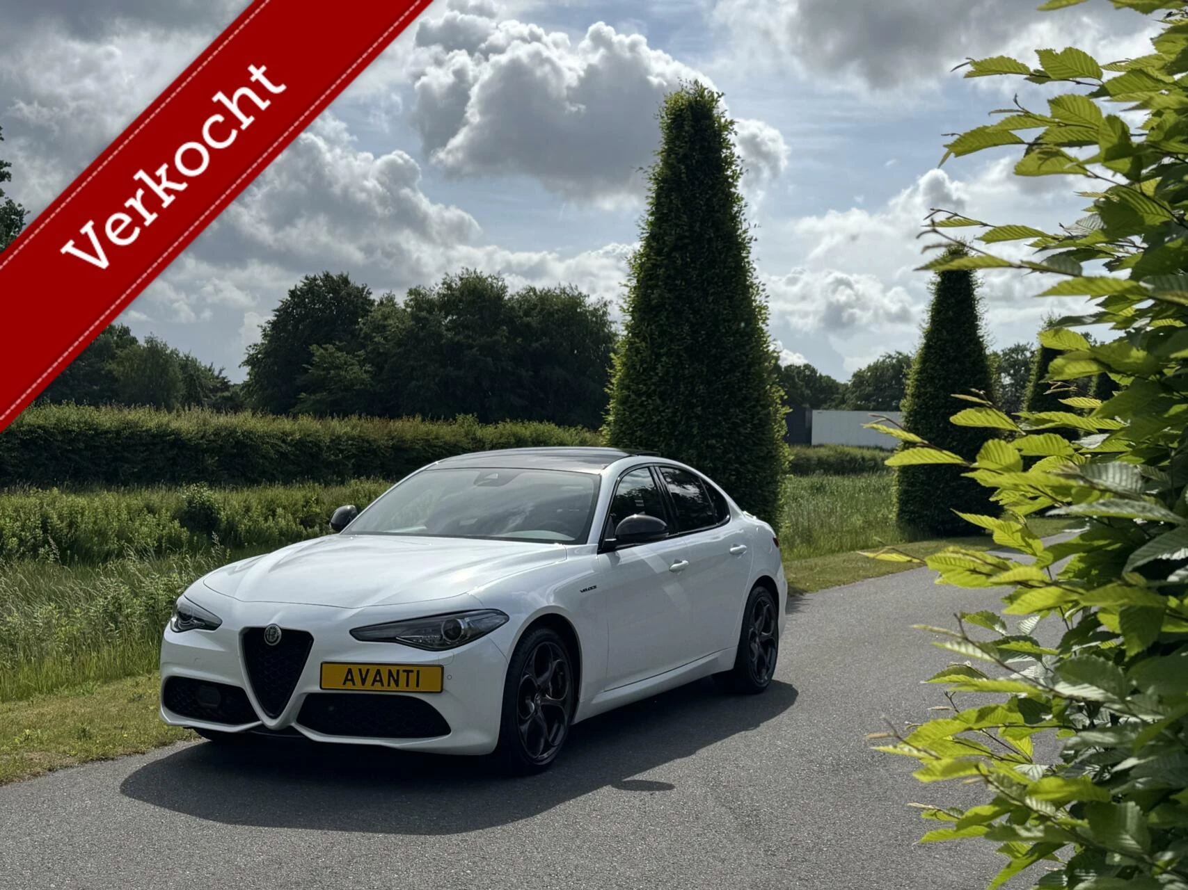 Hoofdafbeelding Alfa Romeo Giulia