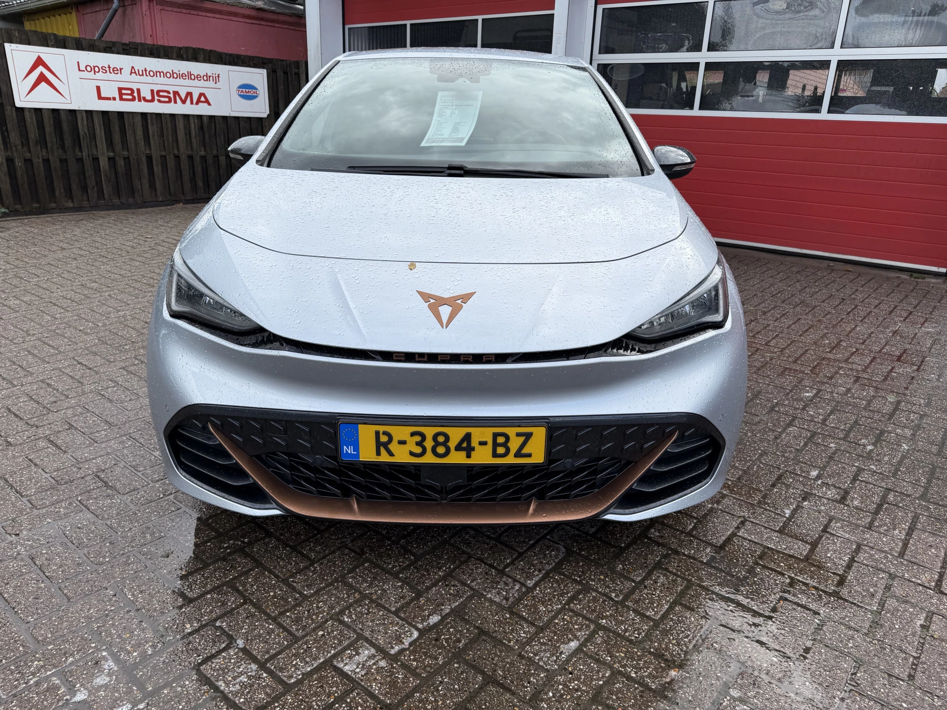 Hoofdafbeelding CUPRA Born