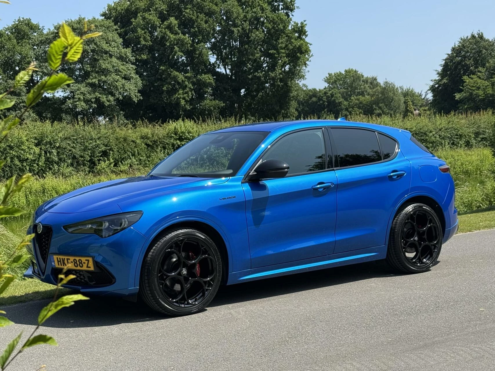Hoofdafbeelding Alfa Romeo Stelvio