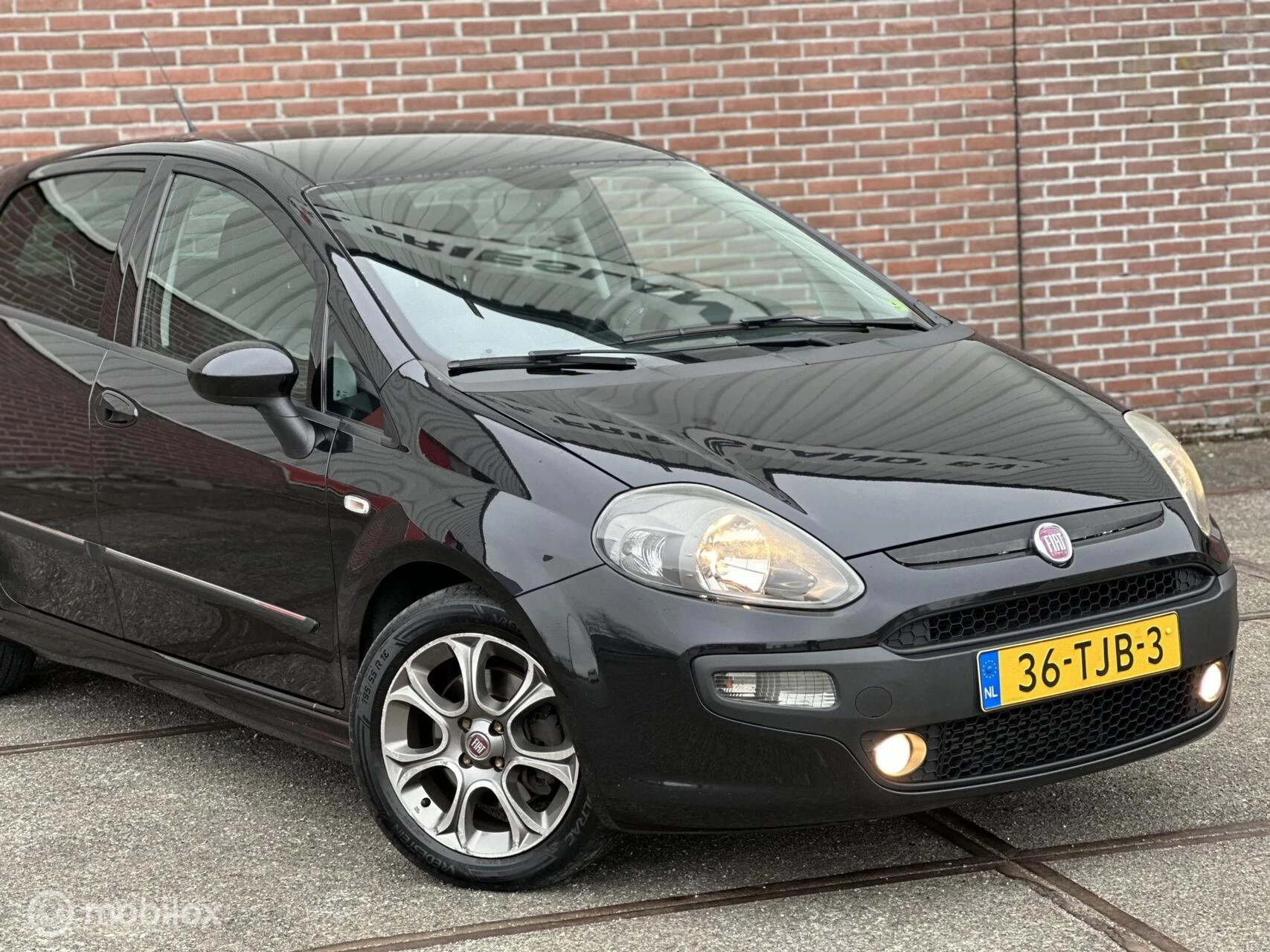 Hoofdafbeelding Fiat Punto