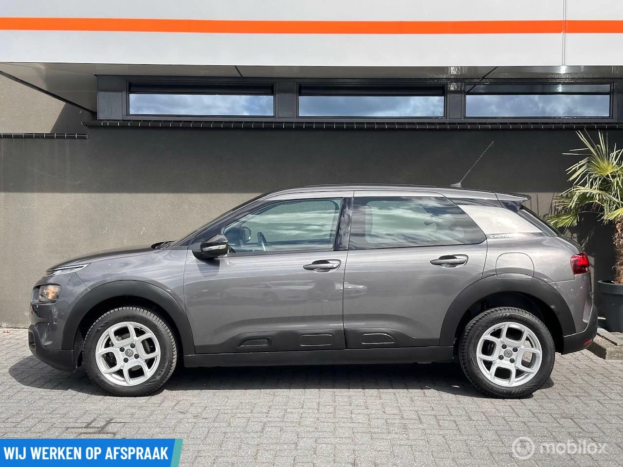 Hoofdafbeelding Citroën C4 Cactus