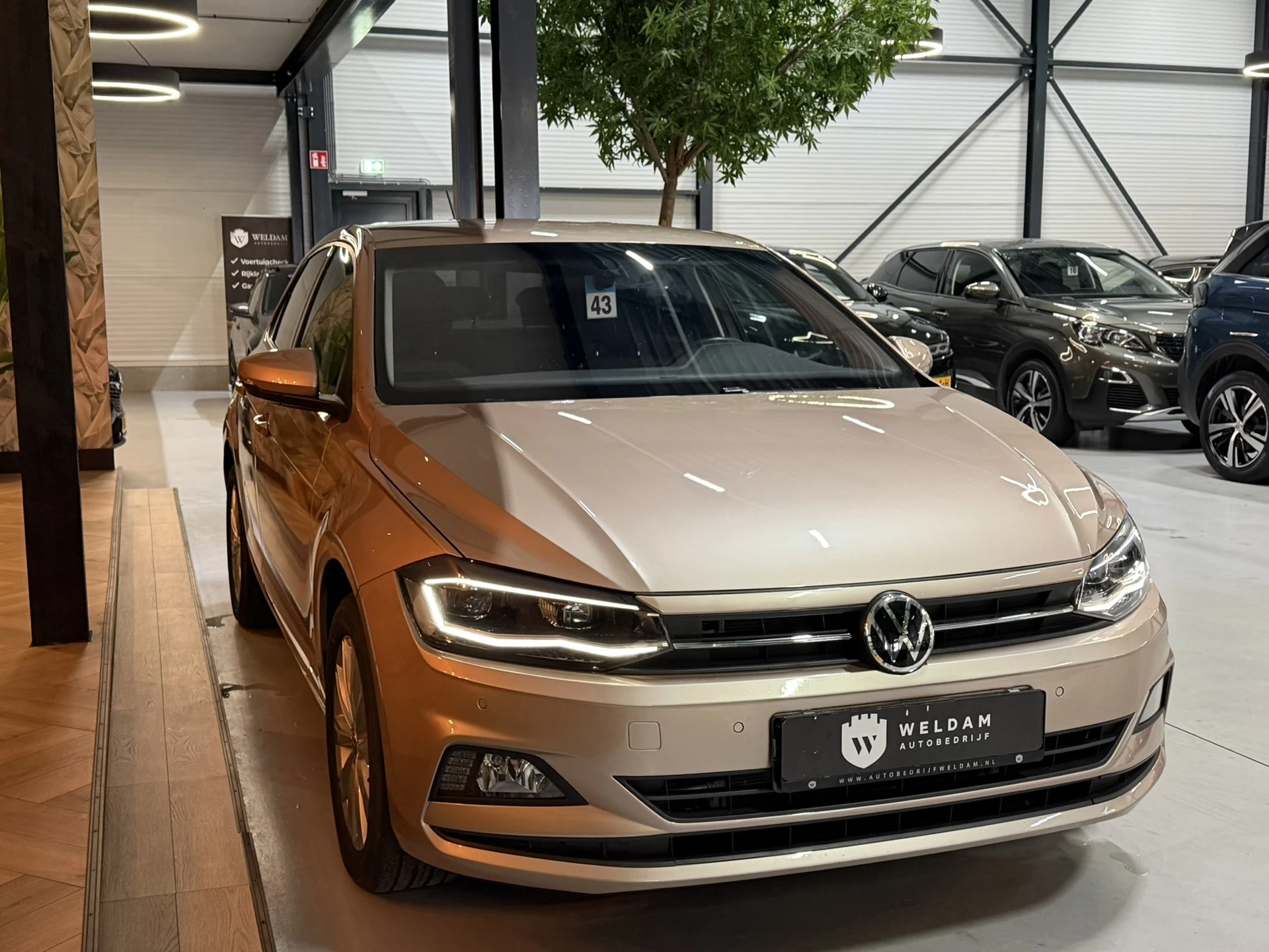 Hoofdafbeelding Volkswagen Polo