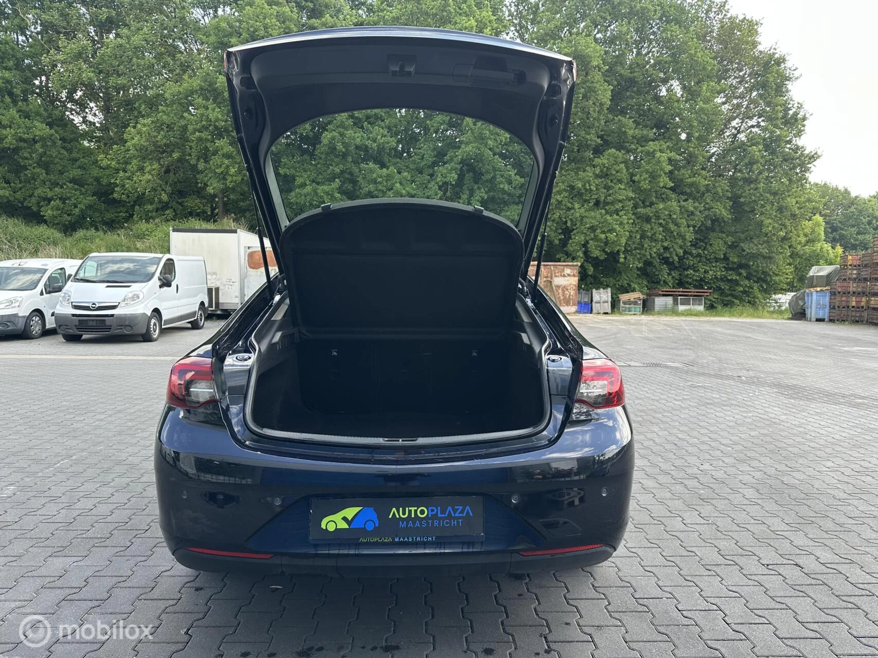 Hoofdafbeelding Opel Insignia