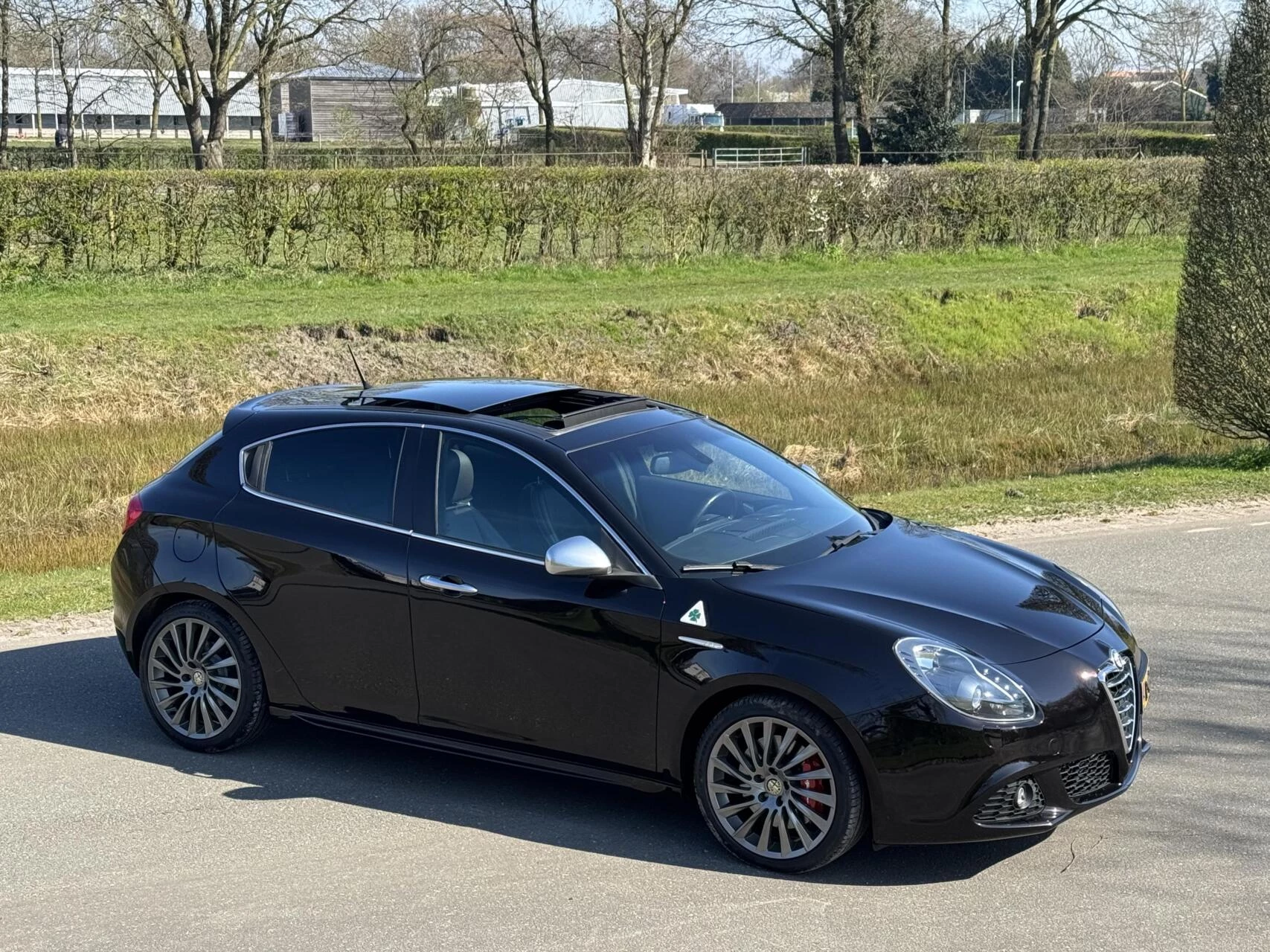 Hoofdafbeelding Alfa Romeo Giulietta