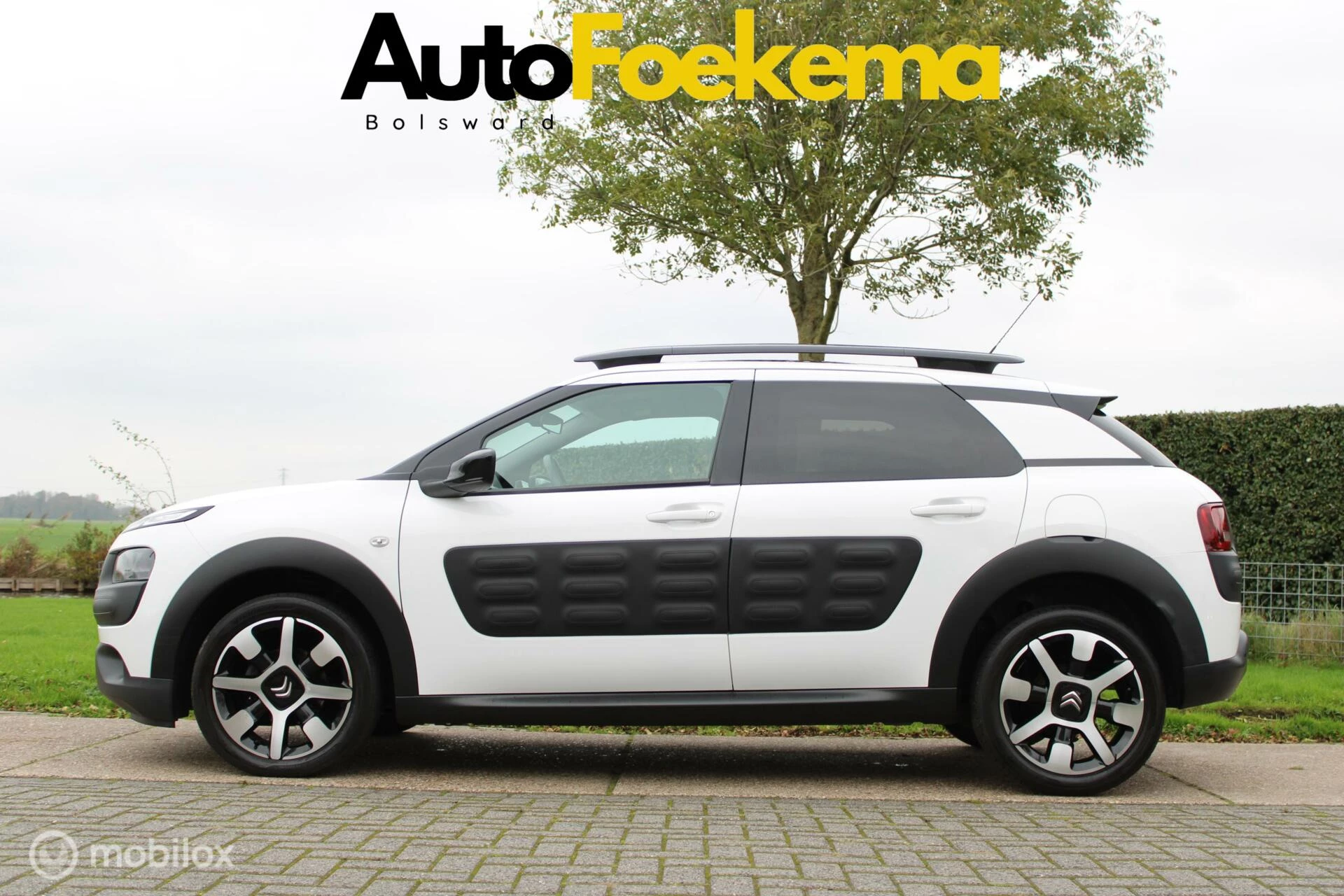 Hoofdafbeelding Citroën C4 Cactus