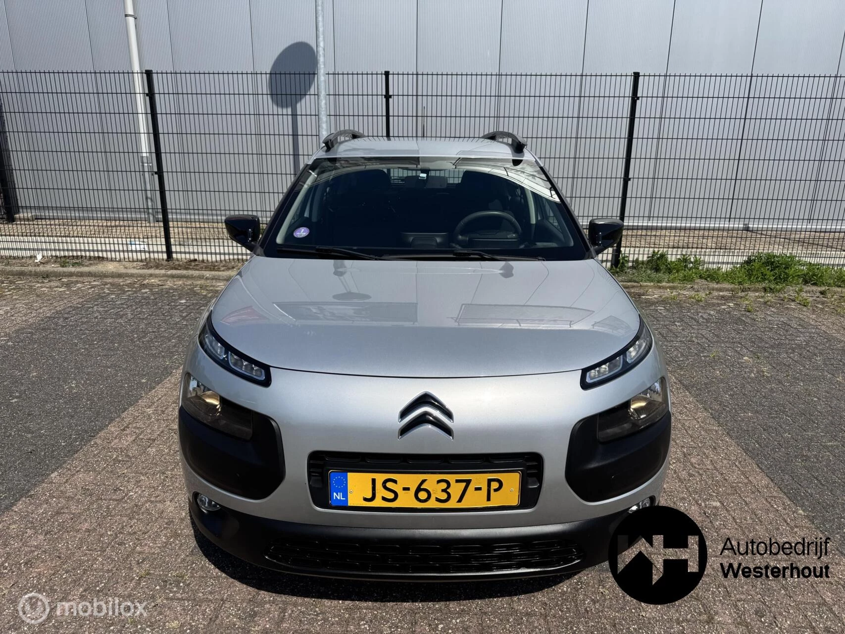 Hoofdafbeelding Citroën C4 Cactus