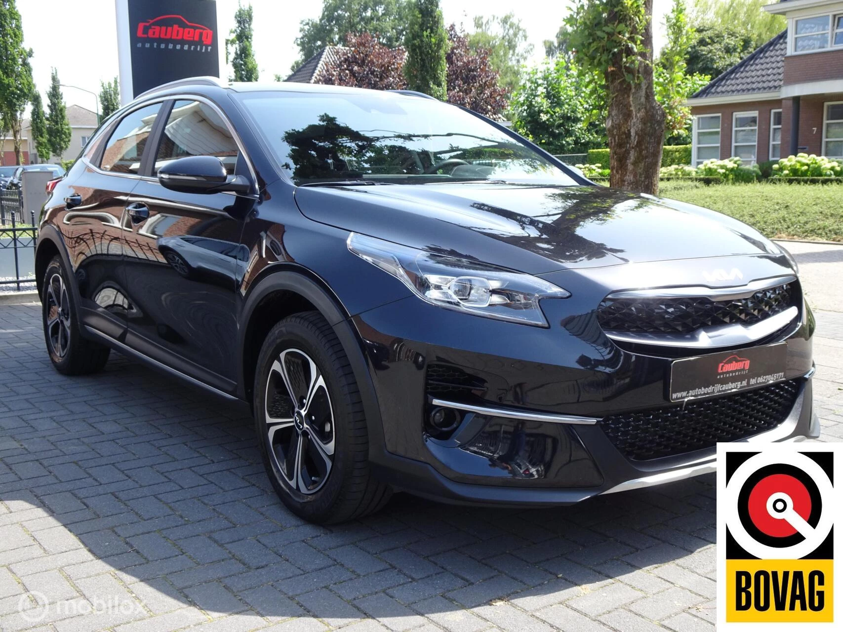 Hoofdafbeelding Kia XCeed