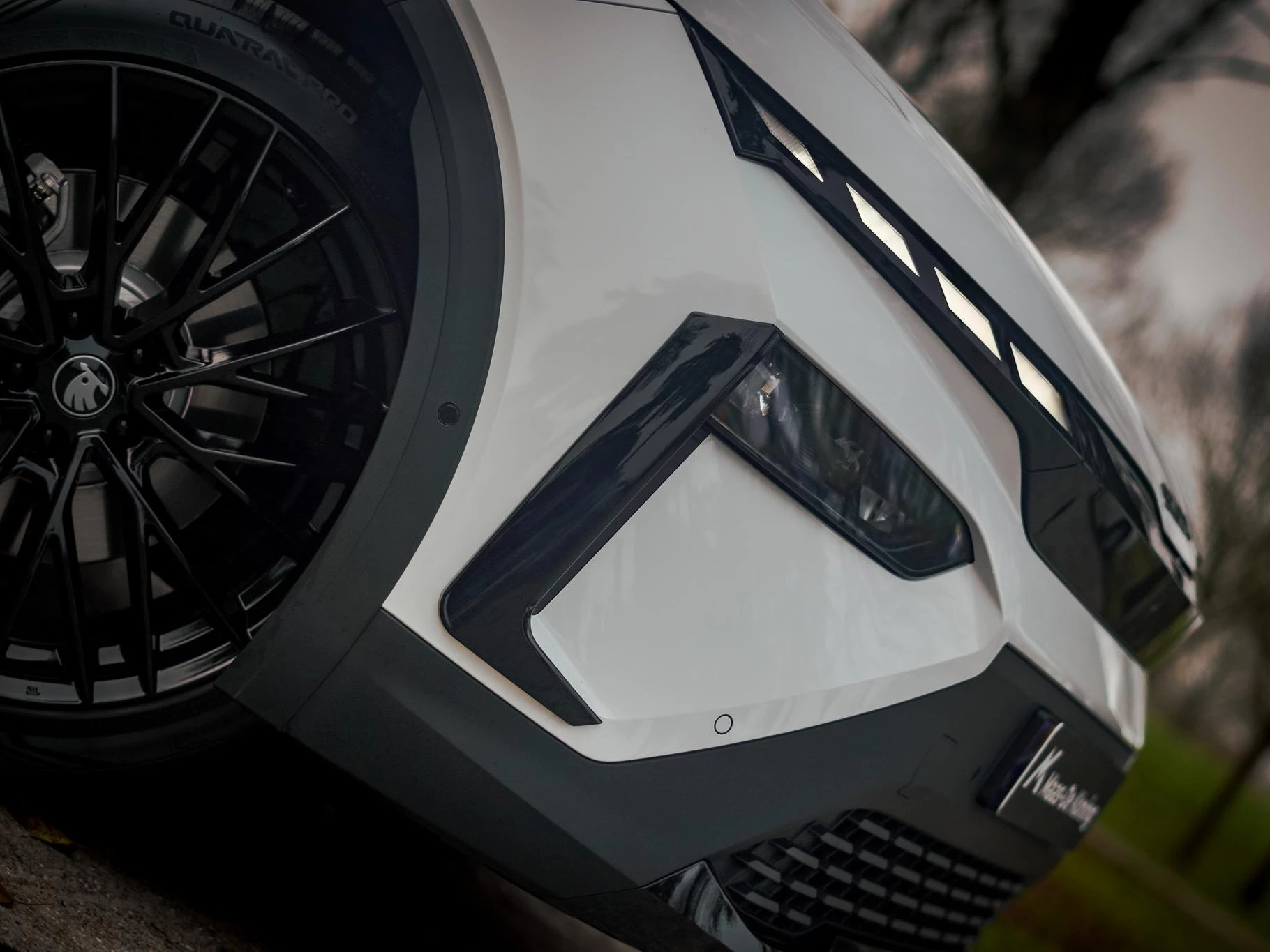 Hoofdafbeelding Škoda Elroq