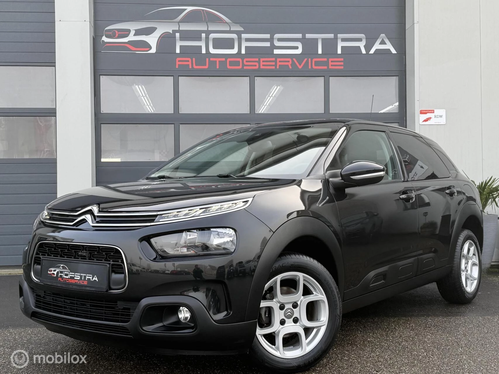 Hoofdafbeelding Citroën C4 Cactus