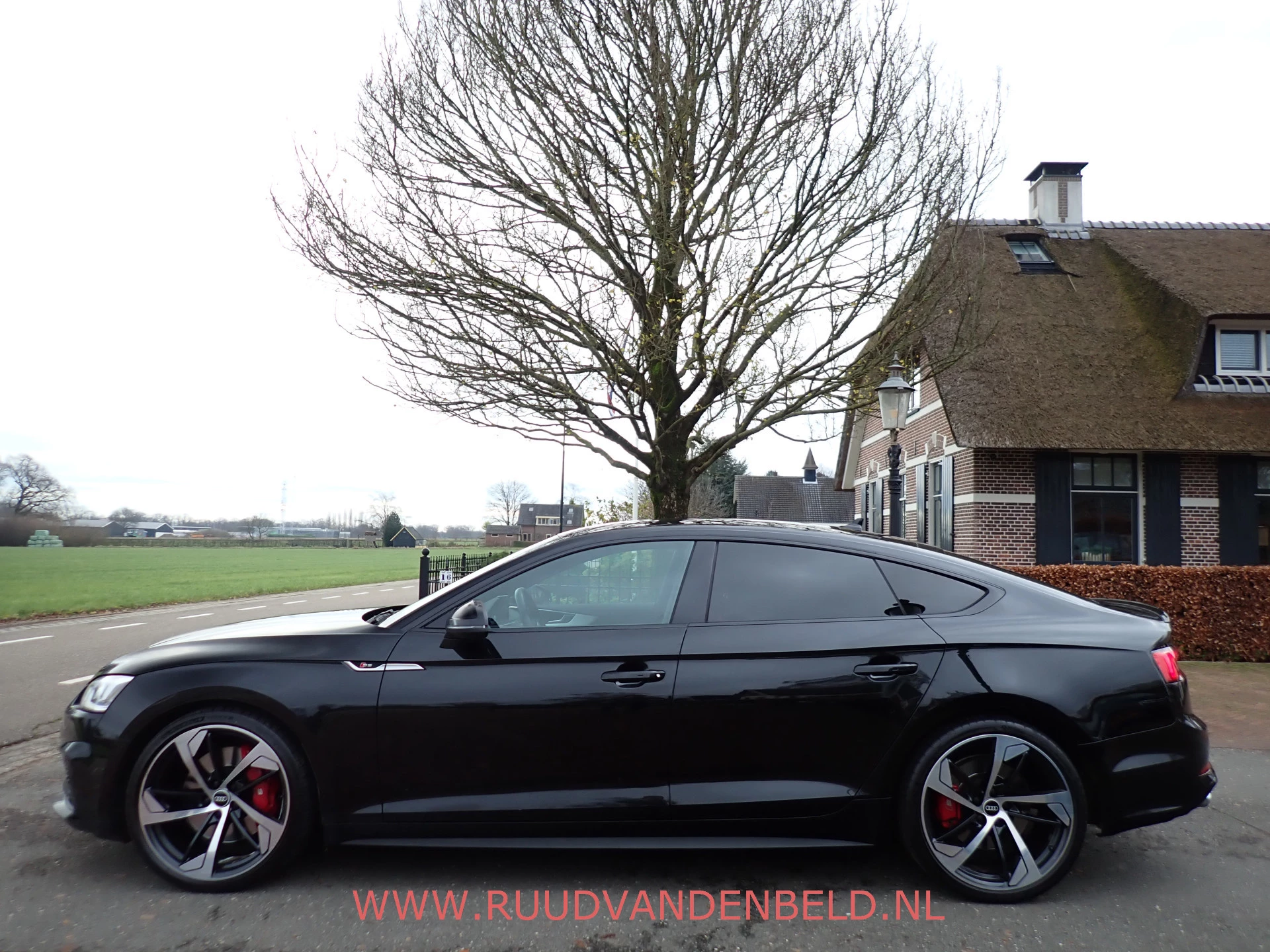 Hoofdafbeelding Audi S5