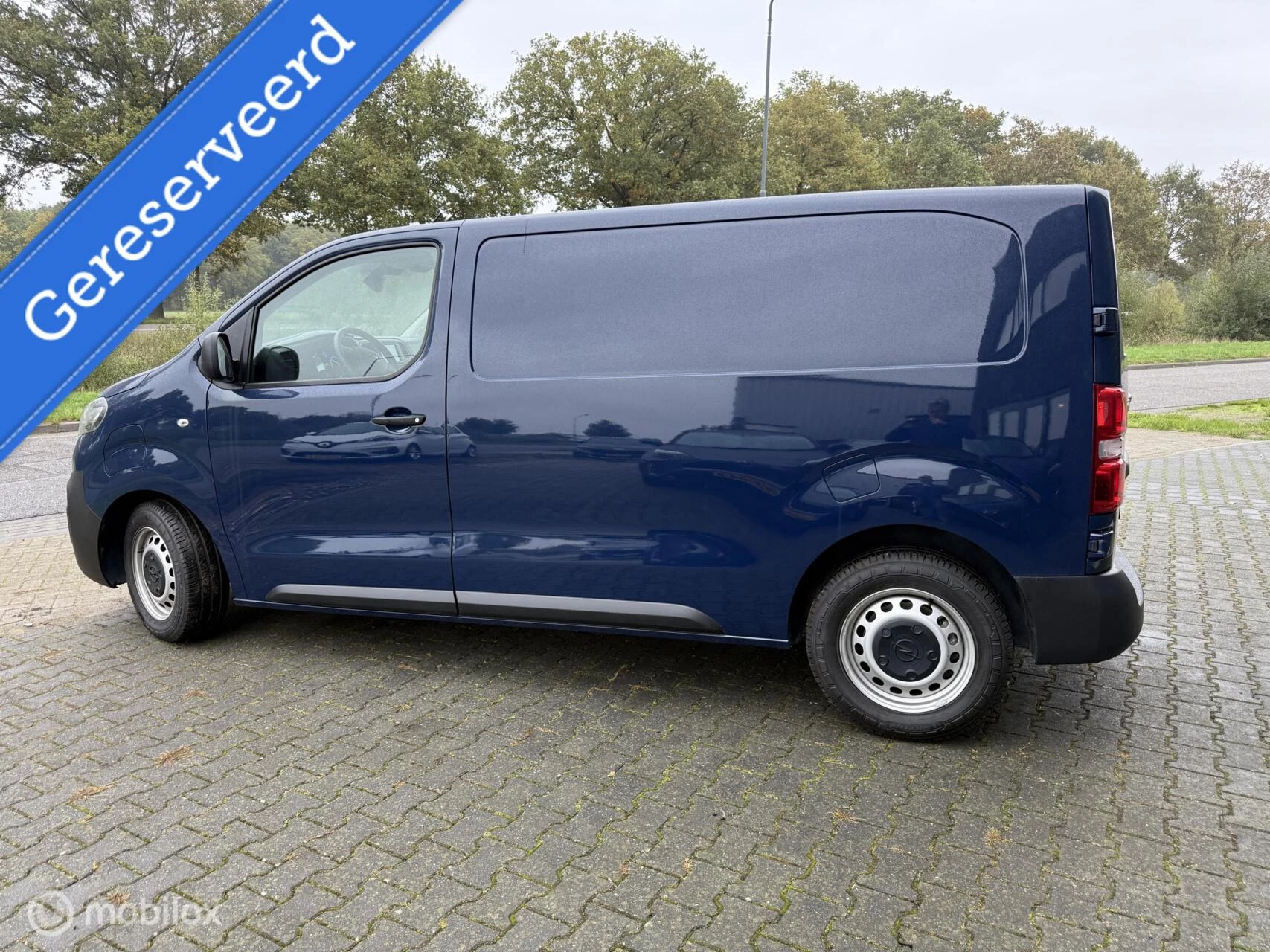 Hoofdafbeelding Opel Vivaro-e