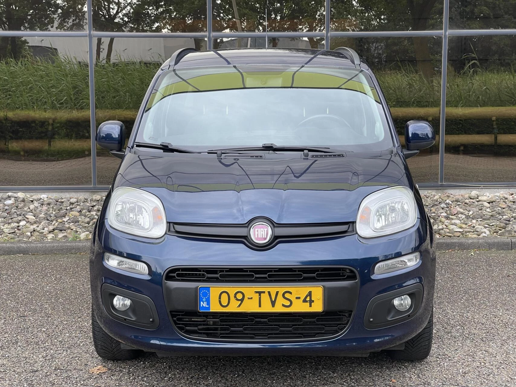 Hoofdafbeelding Fiat Panda