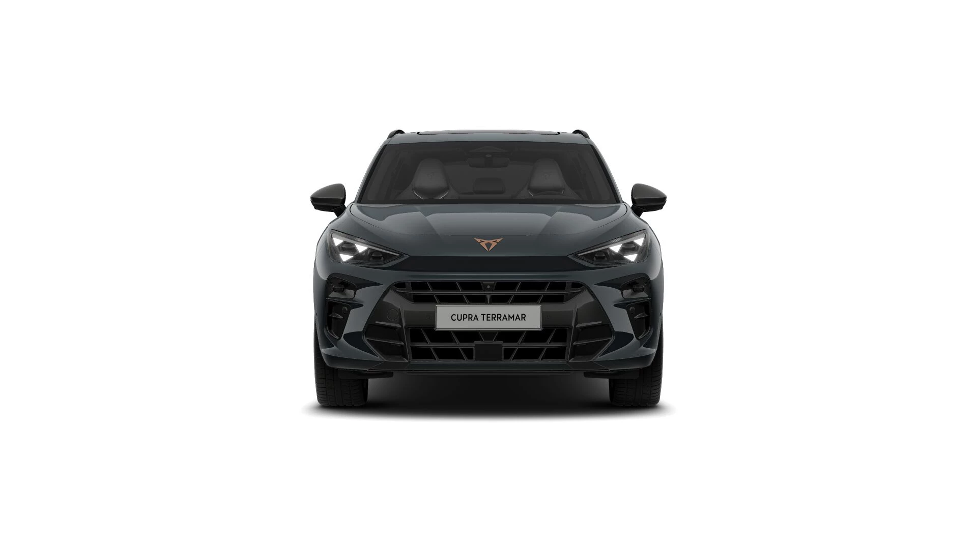 Hoofdafbeelding CUPRA Terramar