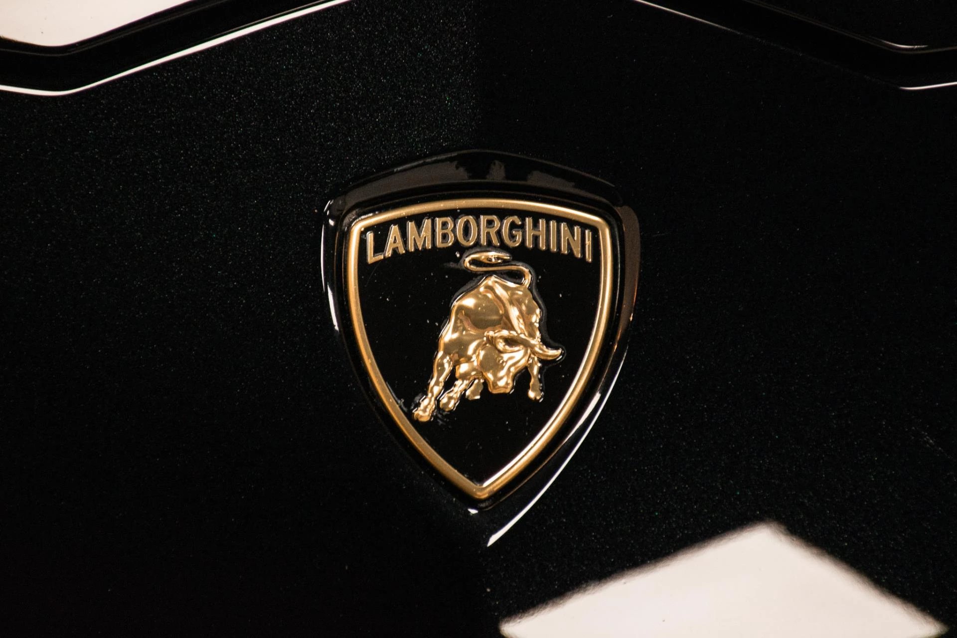 Hoofdafbeelding Lamborghini Urus